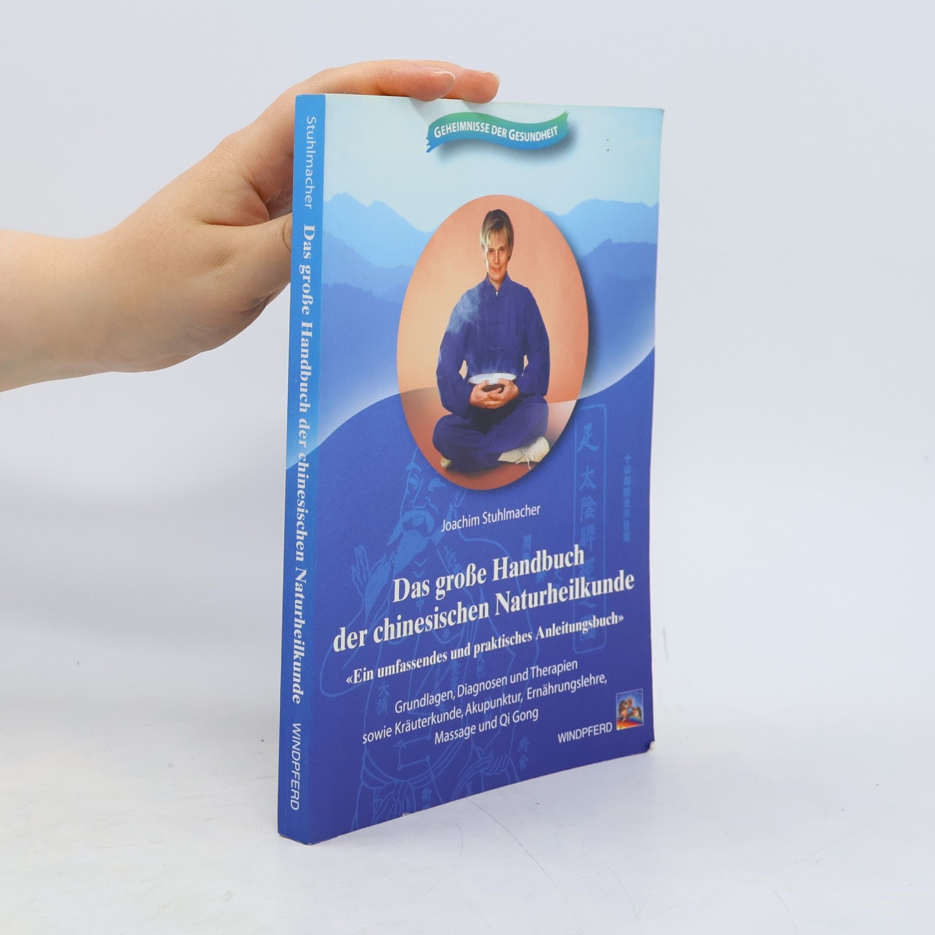Das große Handbuch der chinesischen Naturheilkunde: Ein umfassendes und praktisches Anleitungsbuch. Grundlagen, Diagnosen und Therapien sowie ... ... Ernährungslehre, Massage und Qi Gong