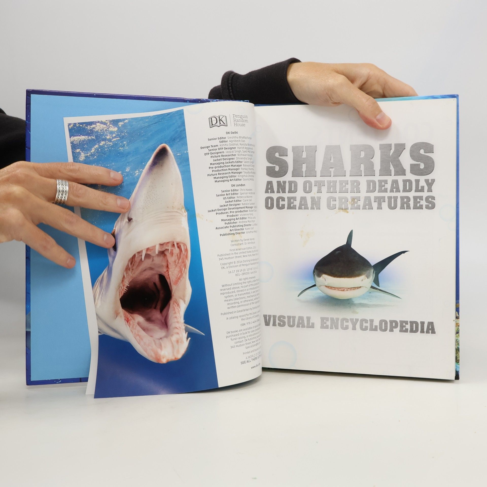 Derek Harvey Sharks And Other Deadly Ocean Creatures