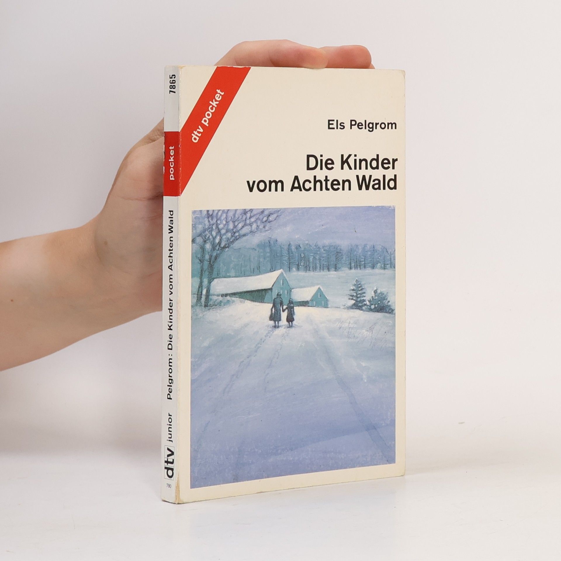 Els Pelgrom Die Kinder vom Achten Wald