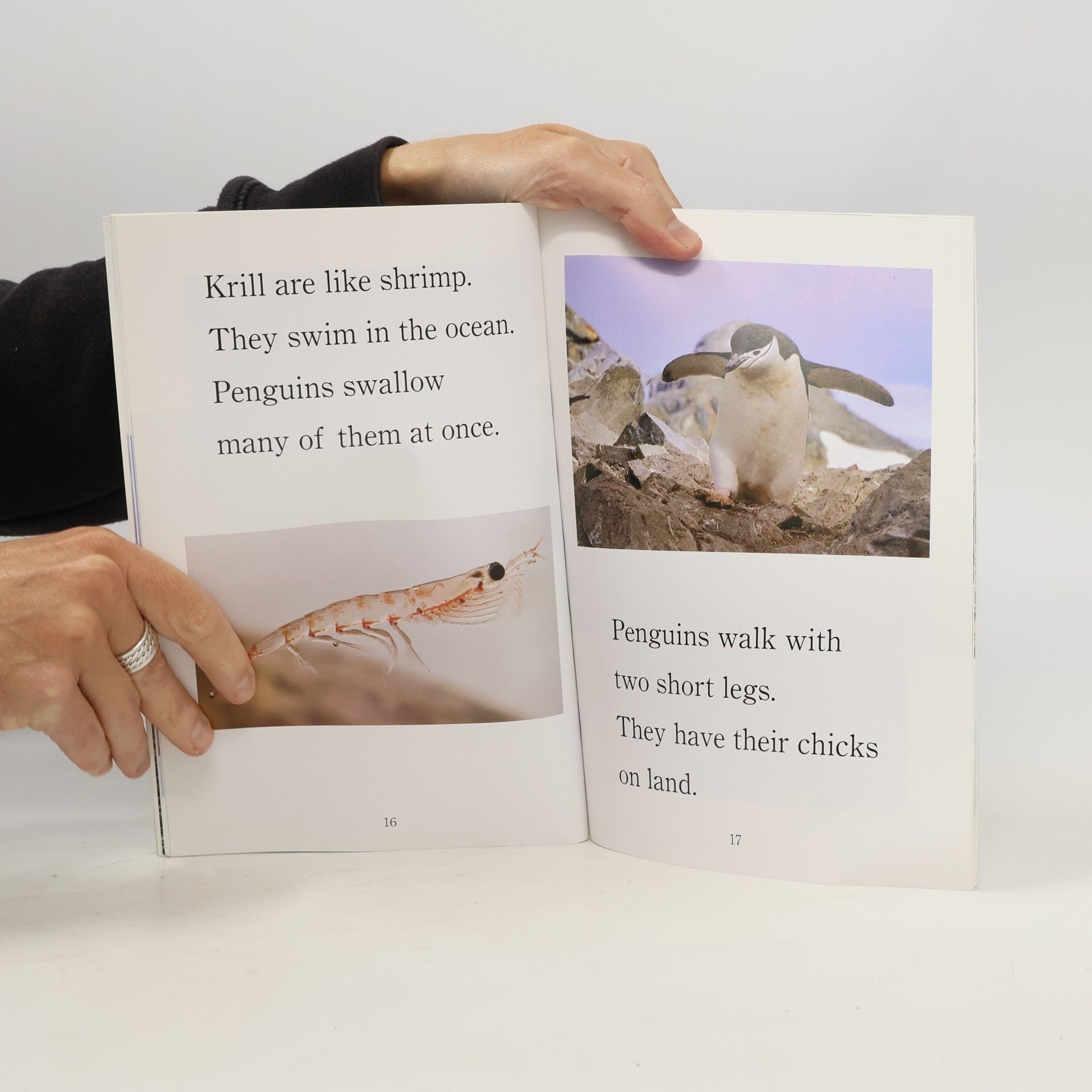 David Salomon Step Into Reading - 2: Penguins!
