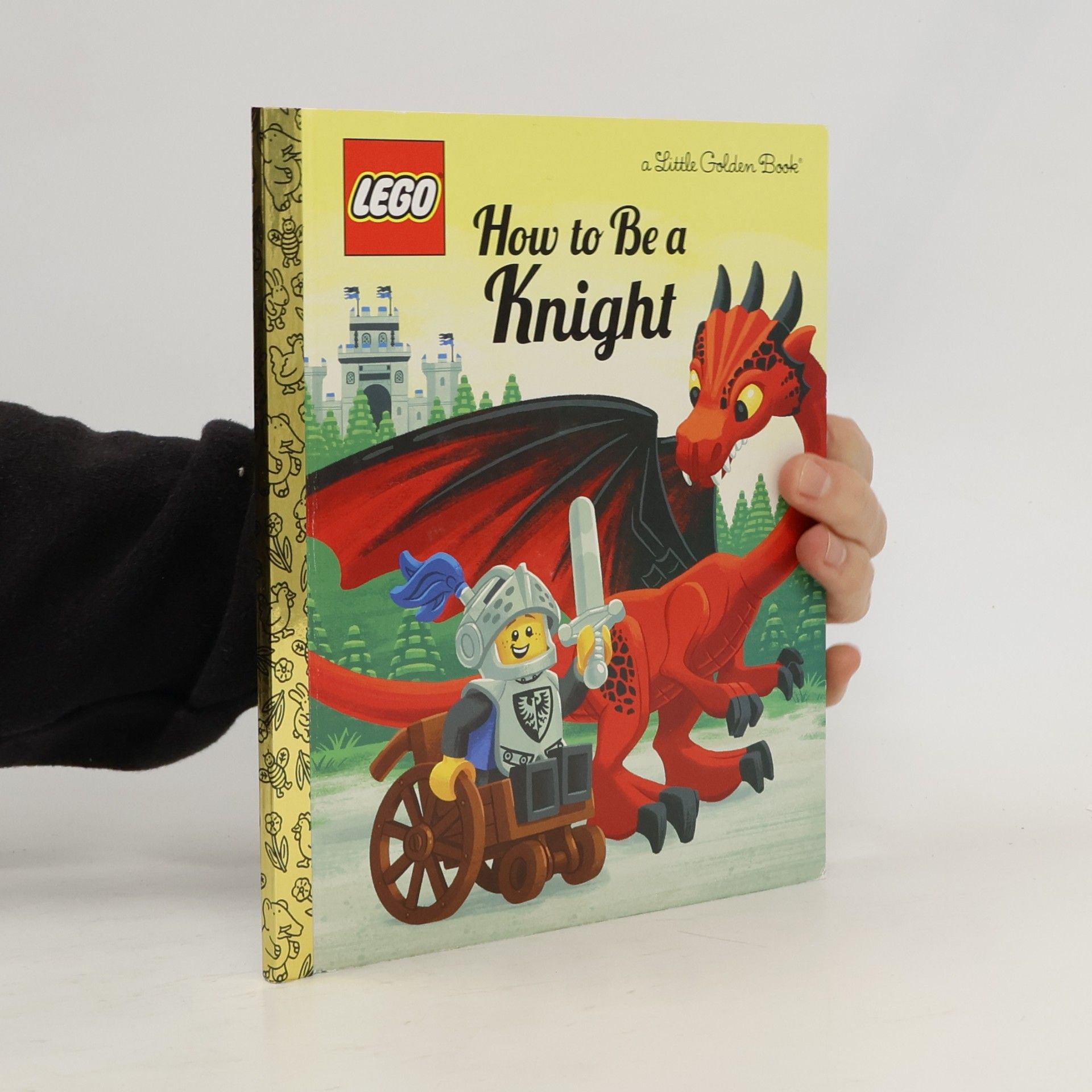 Matt Huntley How to Be a Knight