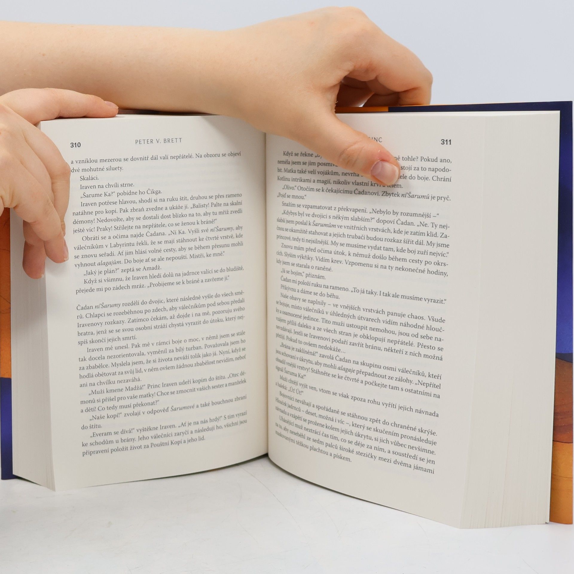 Peter V. Brett Pouštní princ