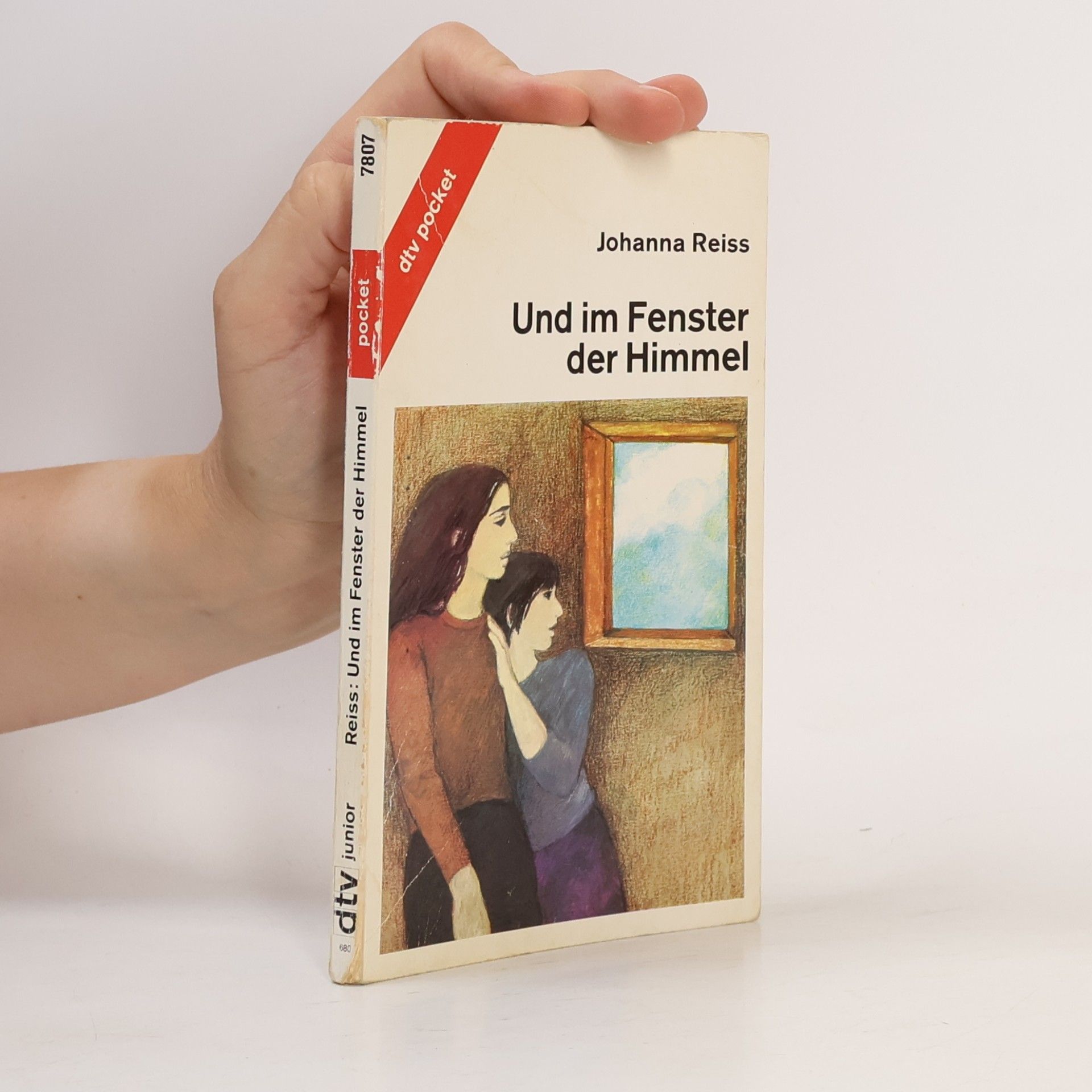 Johanna Reiss Und im Fenster der Himmel