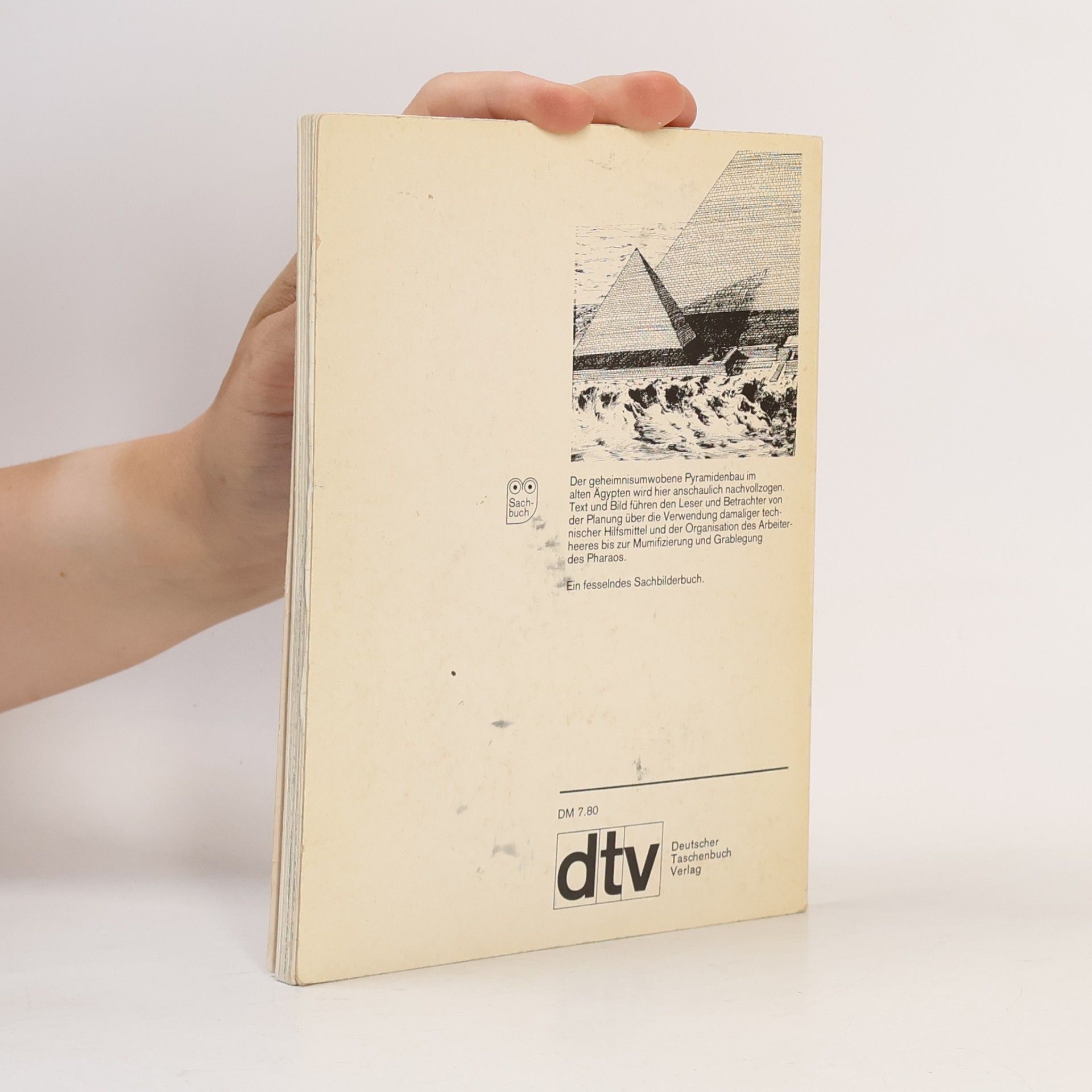 David Macaulay Wo die Pyramiden stehen
