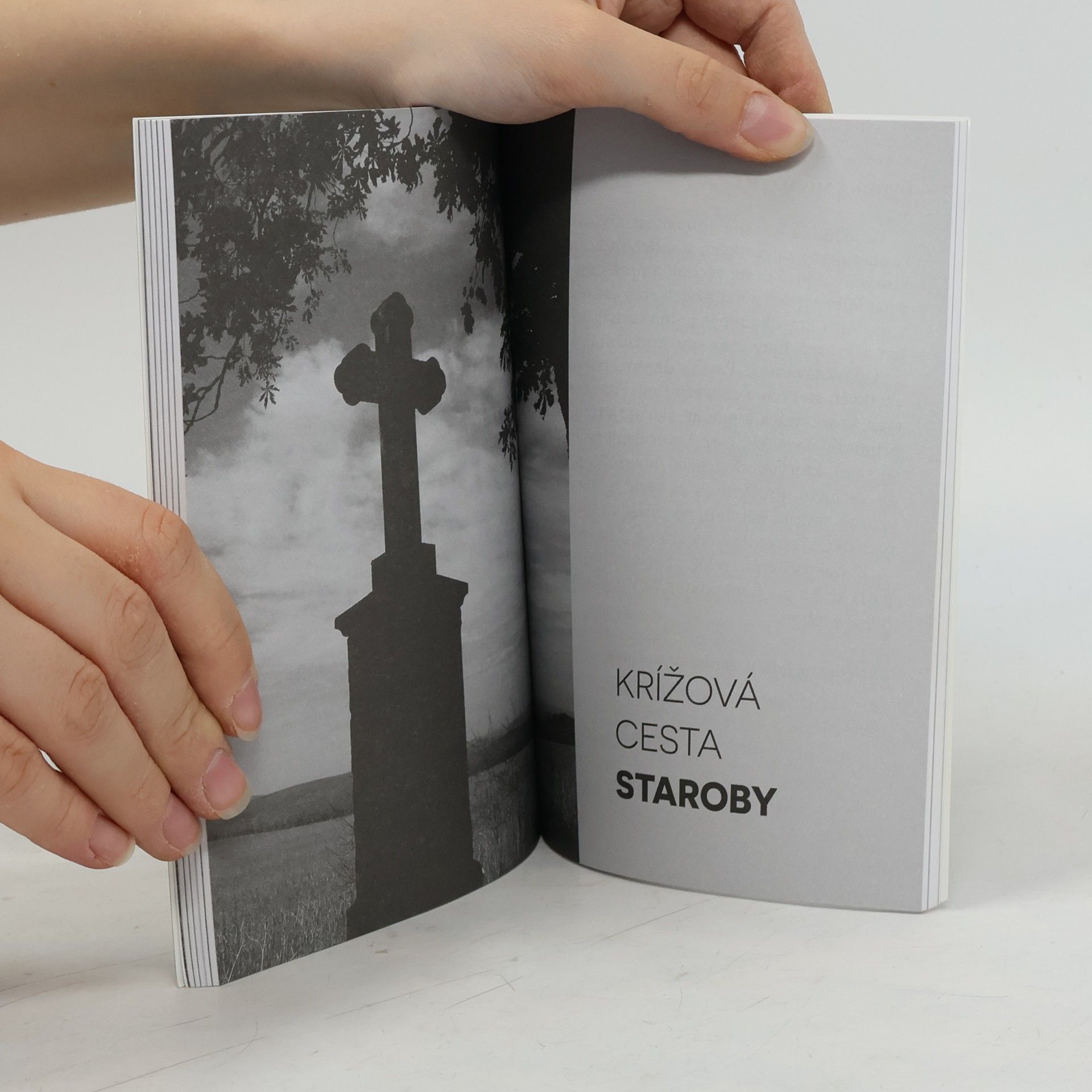 Marián Sivoň Krížové cesty