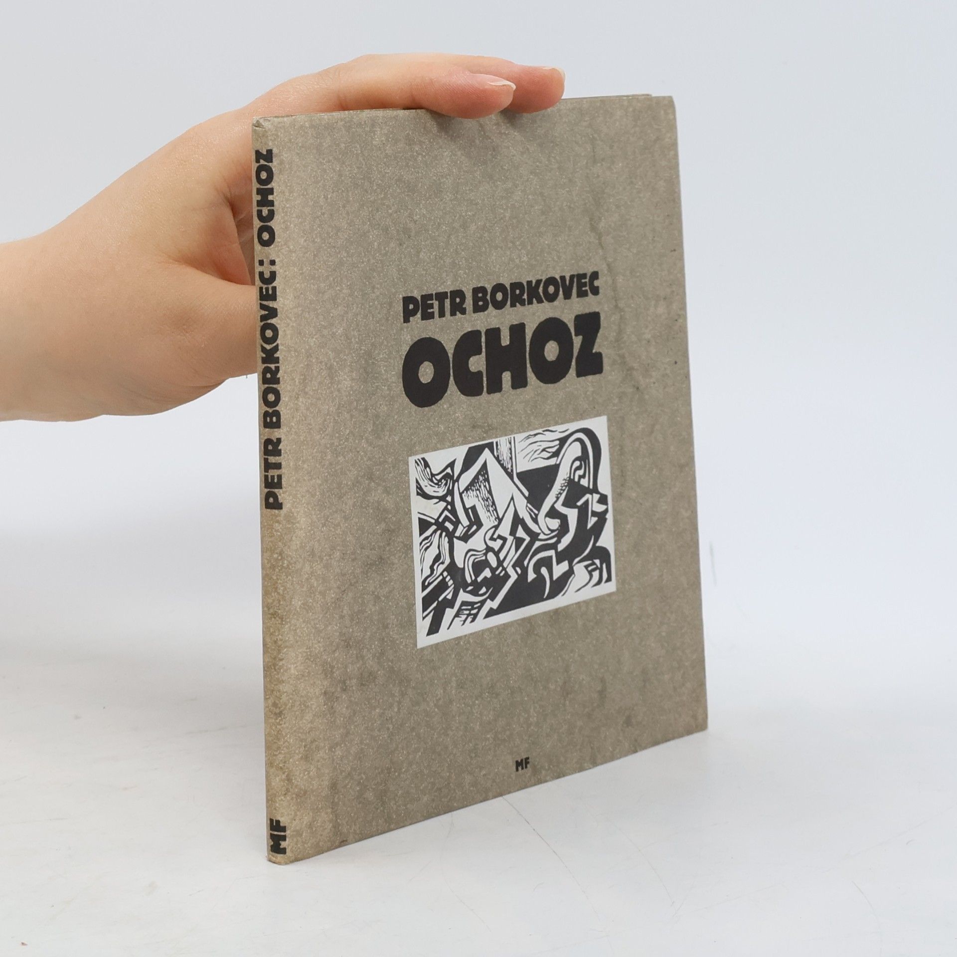 Ochoz
