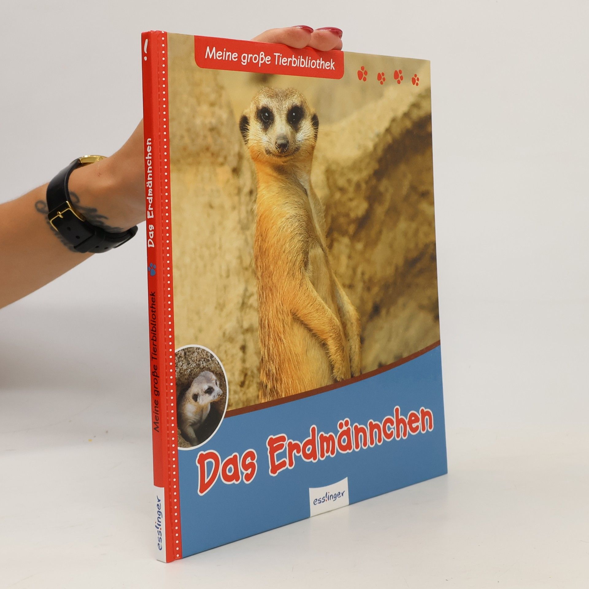 Das Erdmännchen