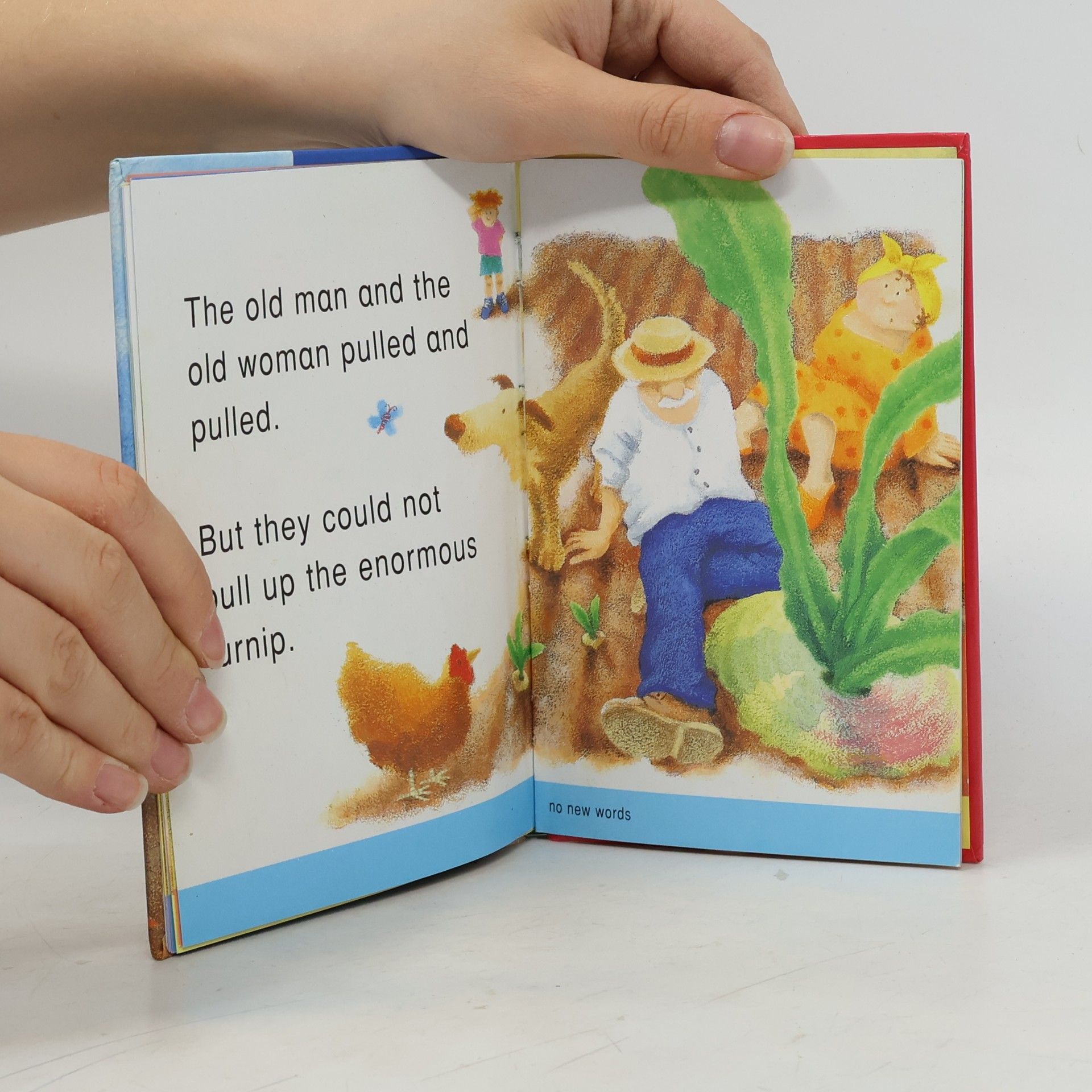 Word Fairy Key Key Words Stories - 3: The Enormous Turnip