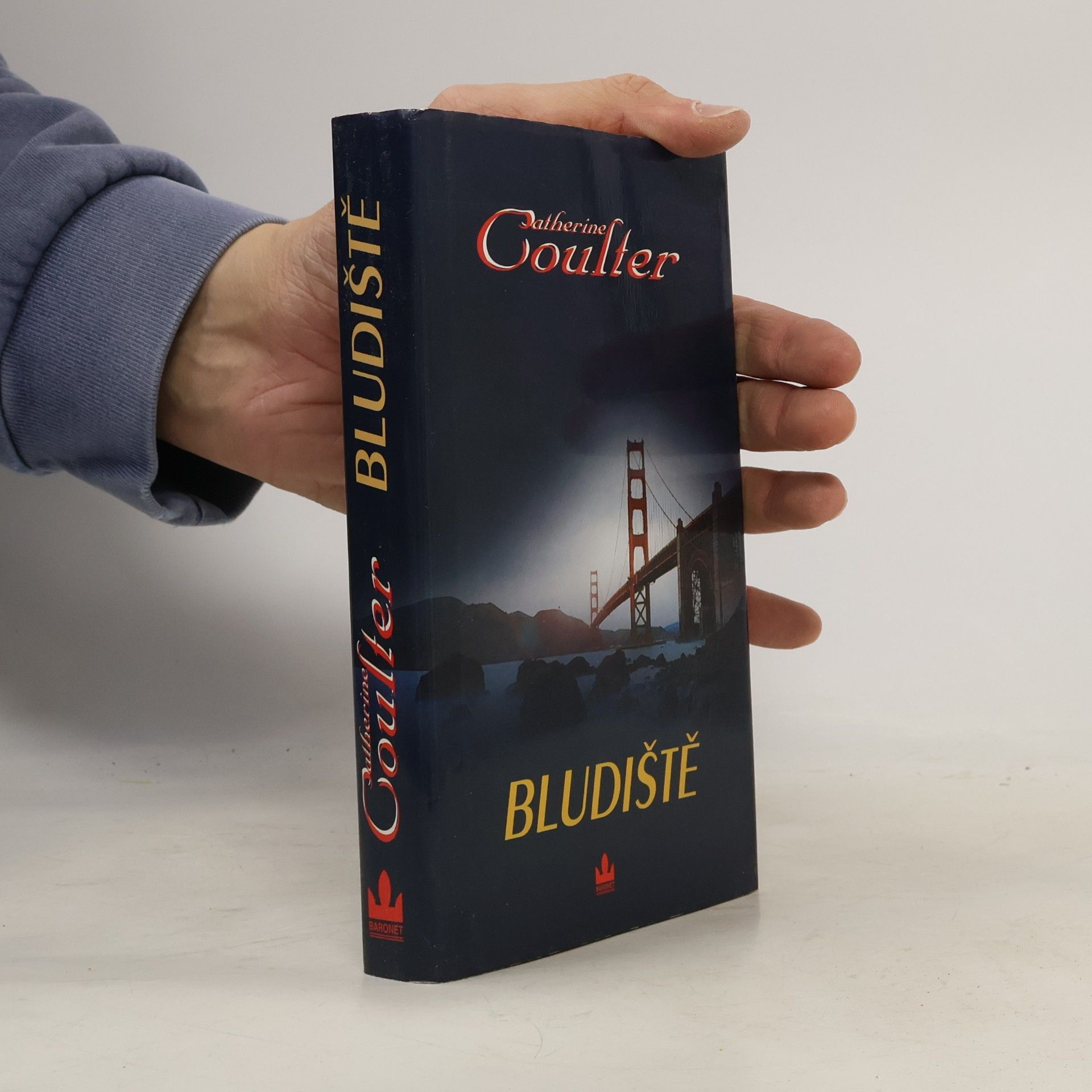 Catherine Coulter Bludiště