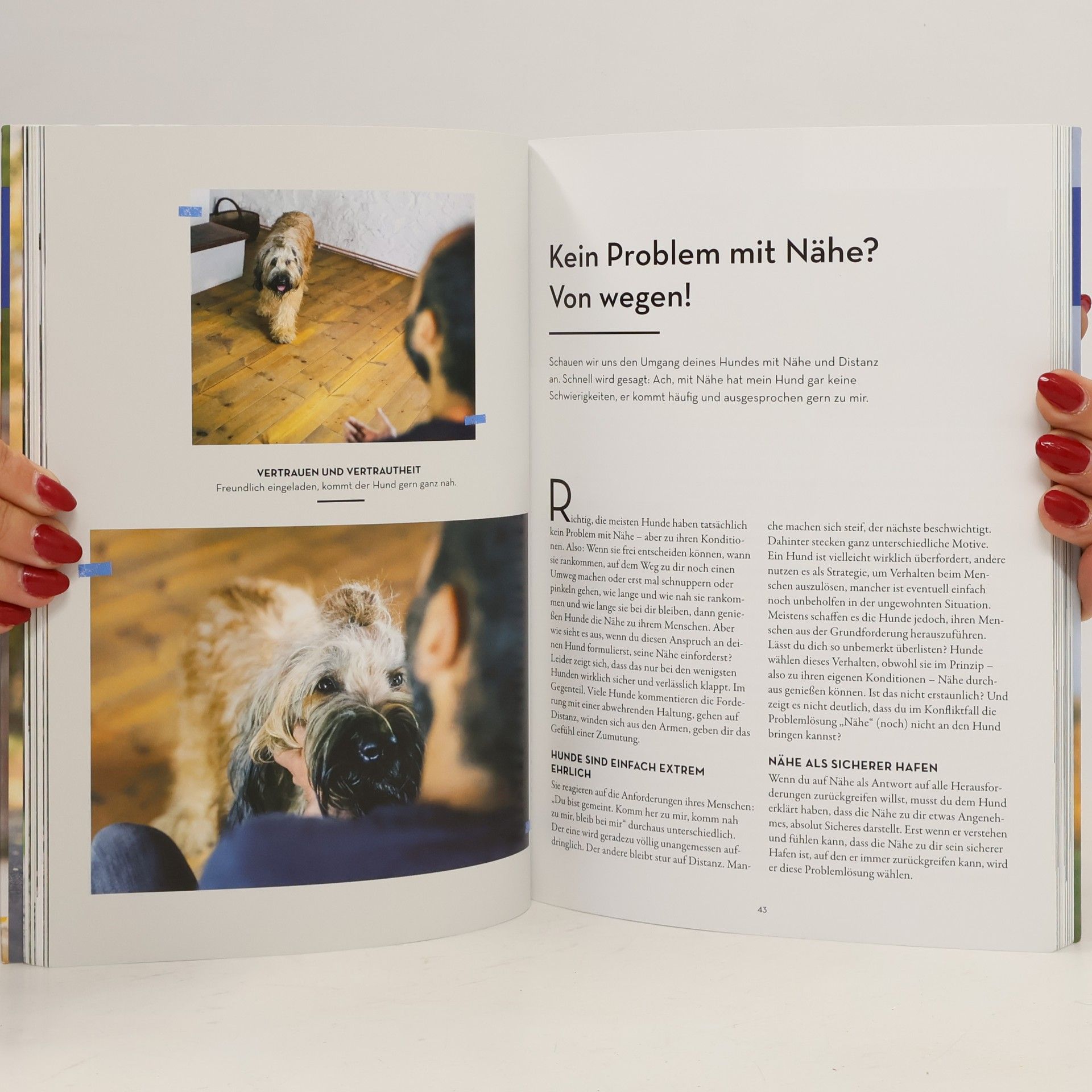 Sami el Ayachi Der zugewandte Hund