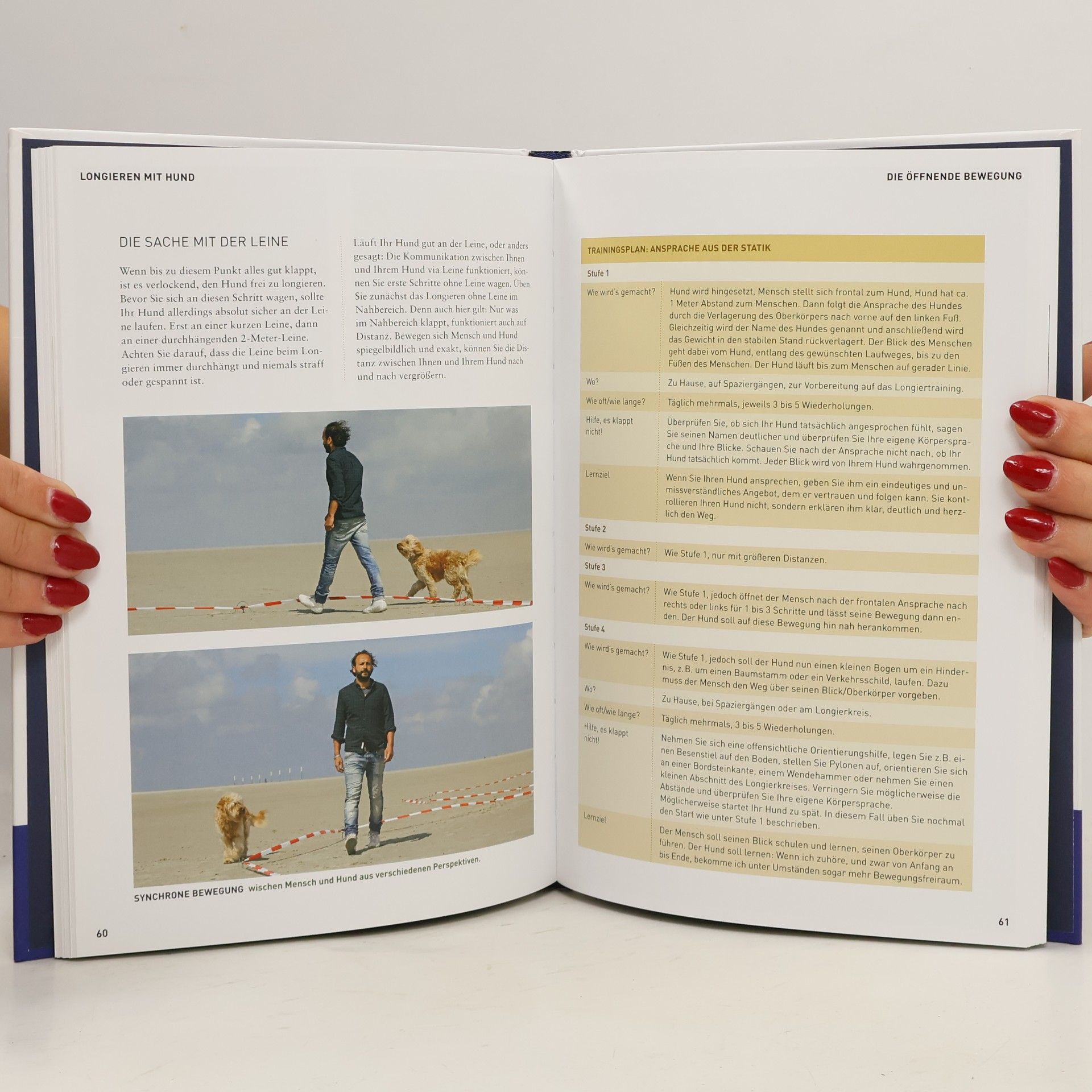 Sami el Ayachi Körpersprachliches Longieren mit Hund
