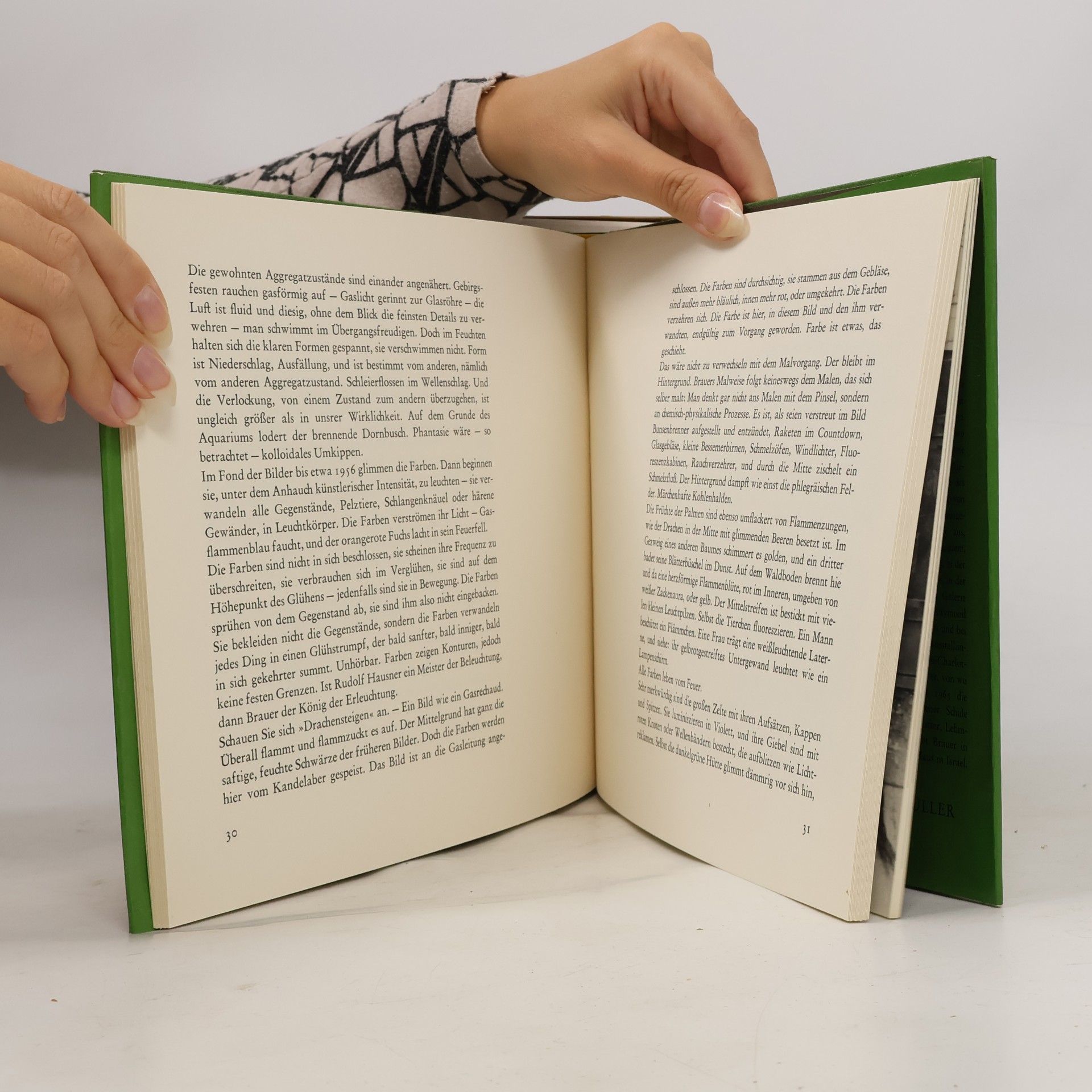 Erich Brauers Malerei des phantastischen Realismus