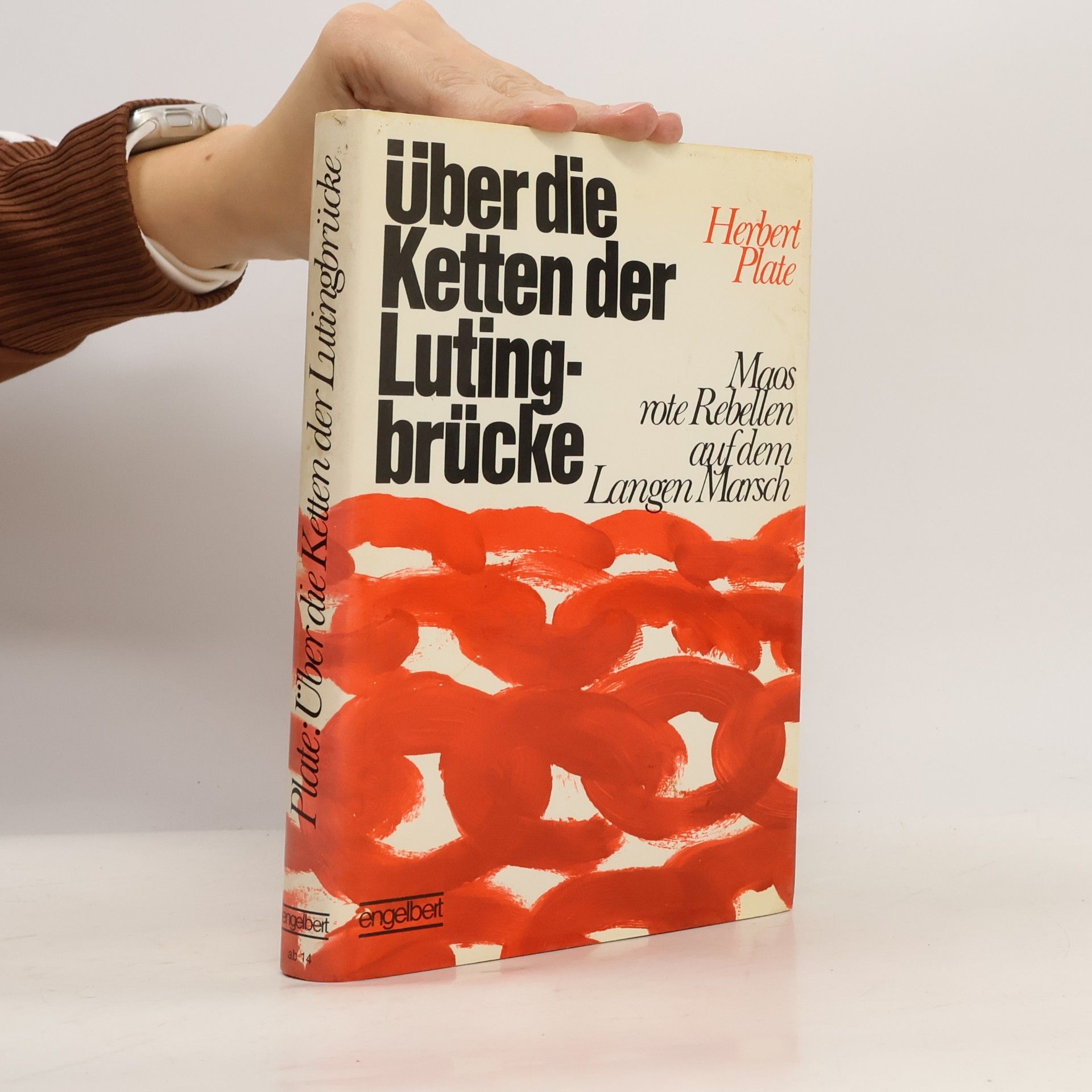Über die Ketten der Lutingbrücke