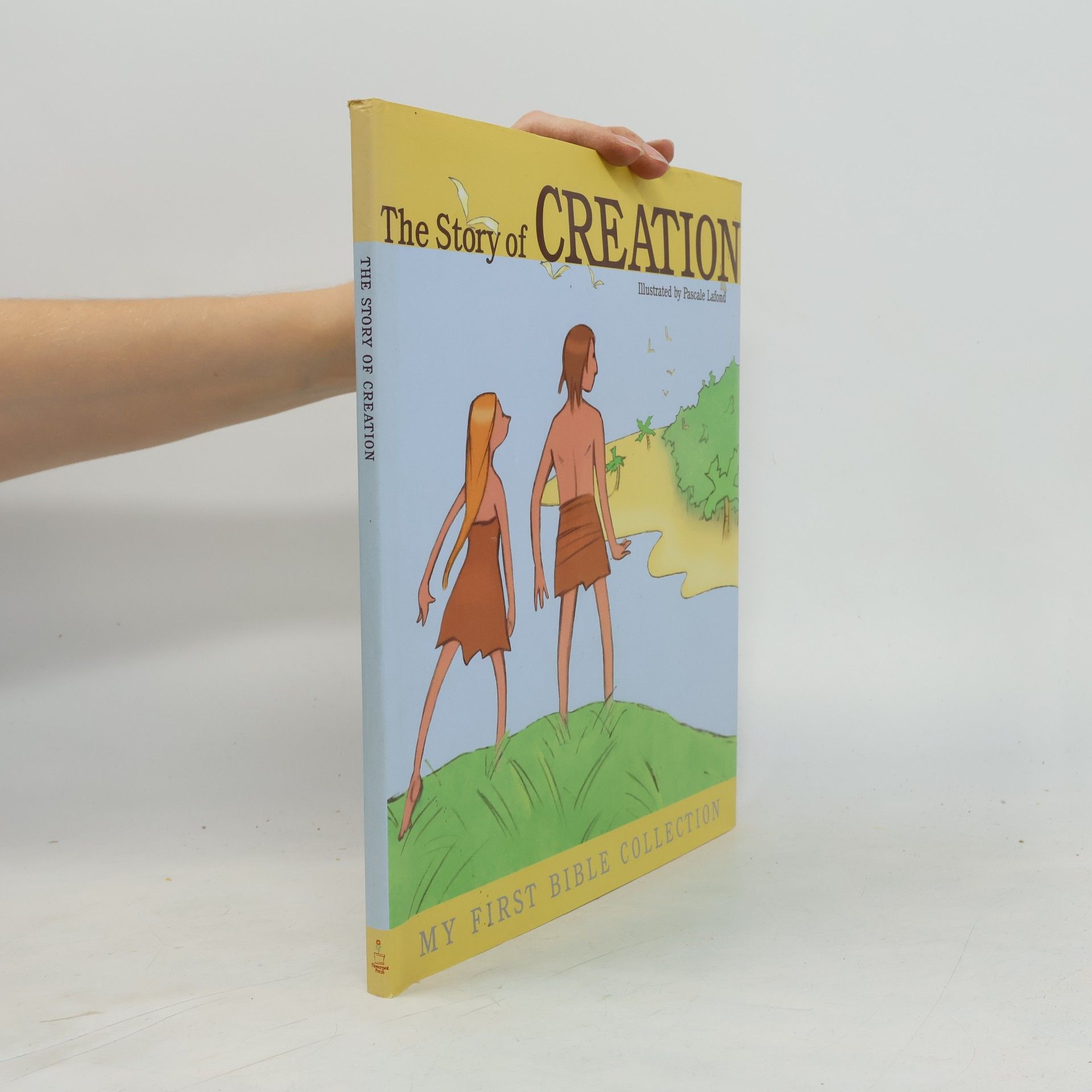 Auteurscollectief The Story of Creation