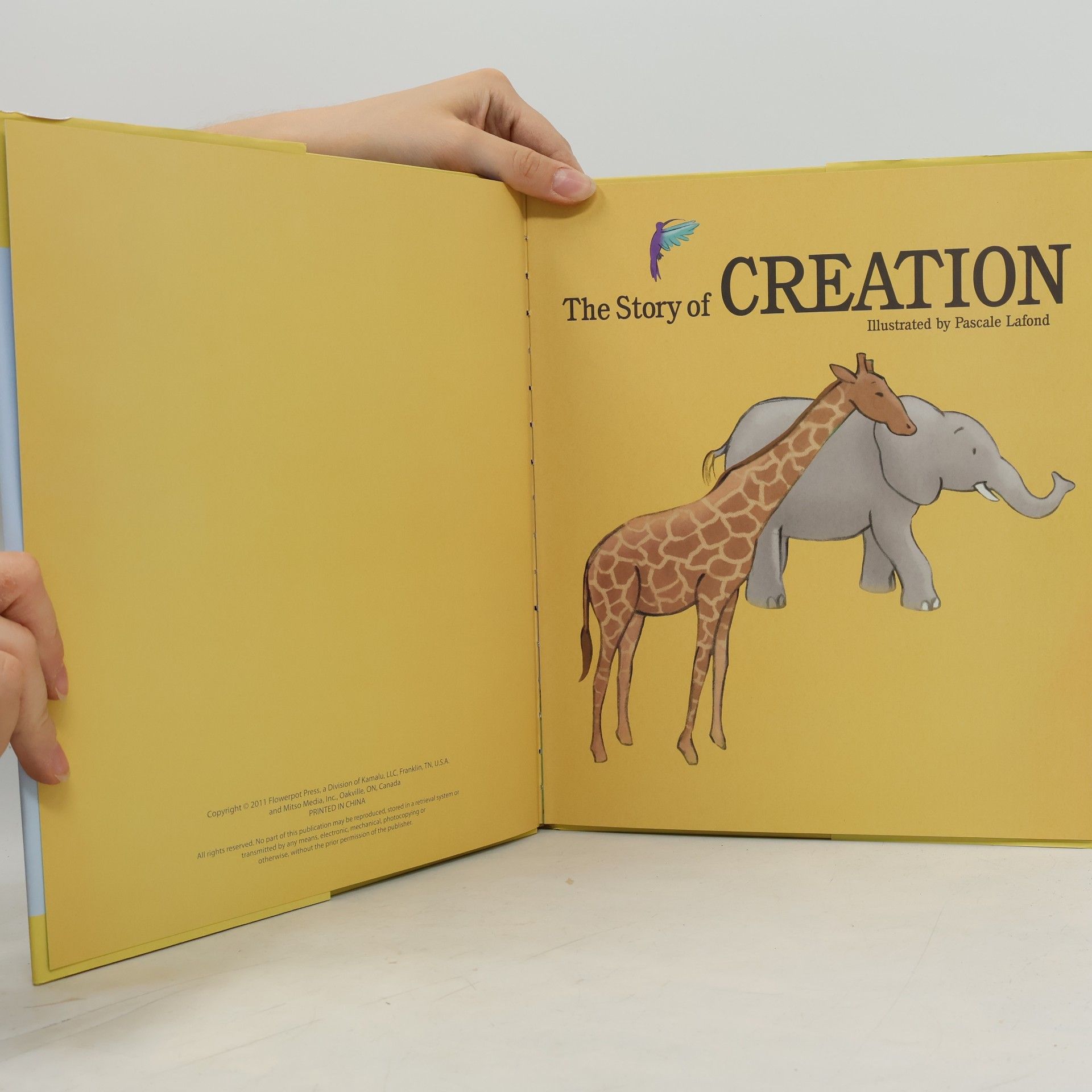 kolektiv The Story of Creation
