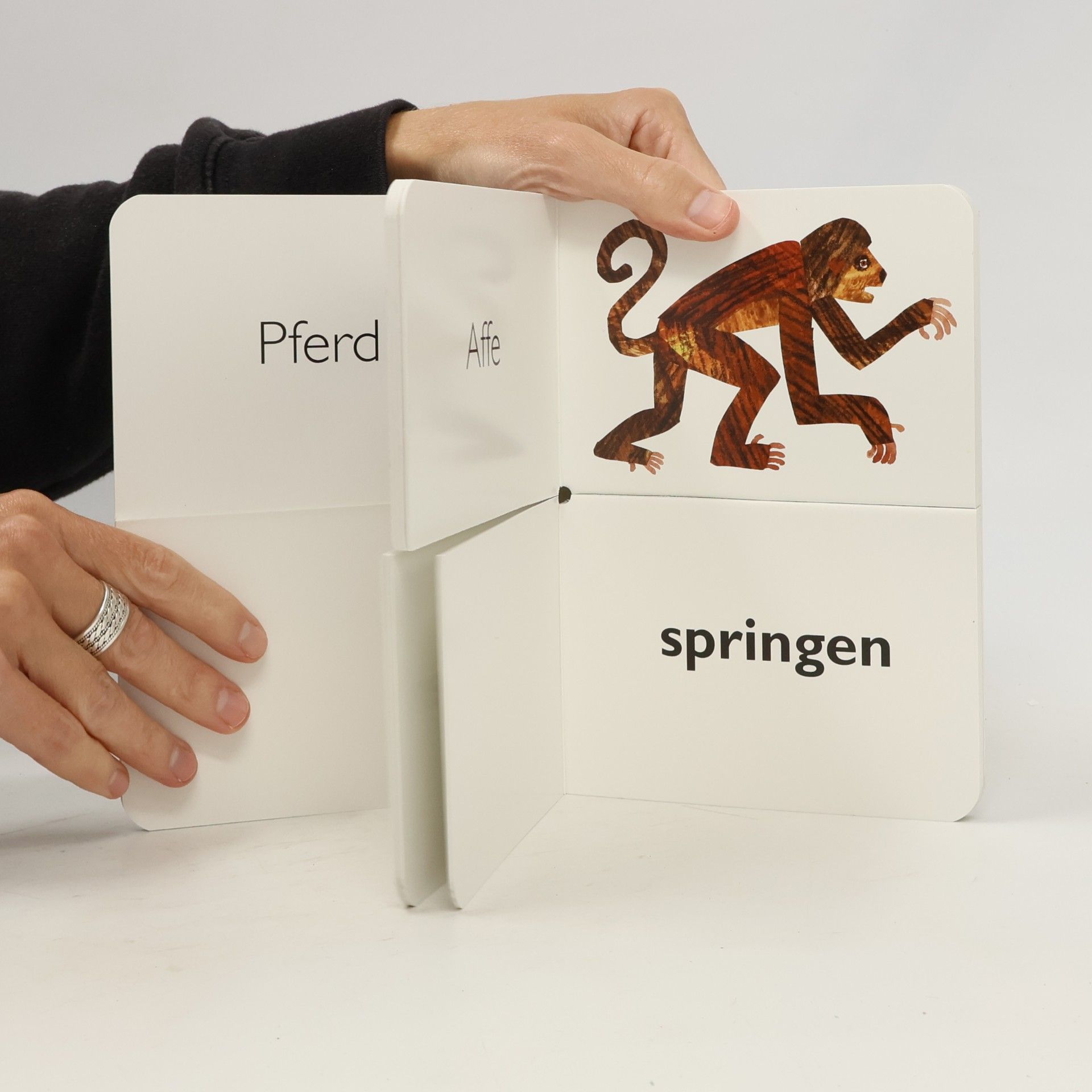 Eric Carle Mein allererstes Buch vom Laufen, Fliegen und Schwimmen