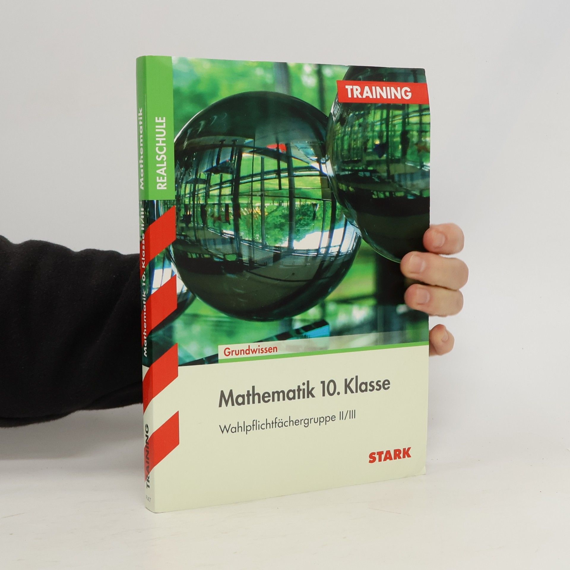 Susanne Angerer Mathematik 10. Klasse