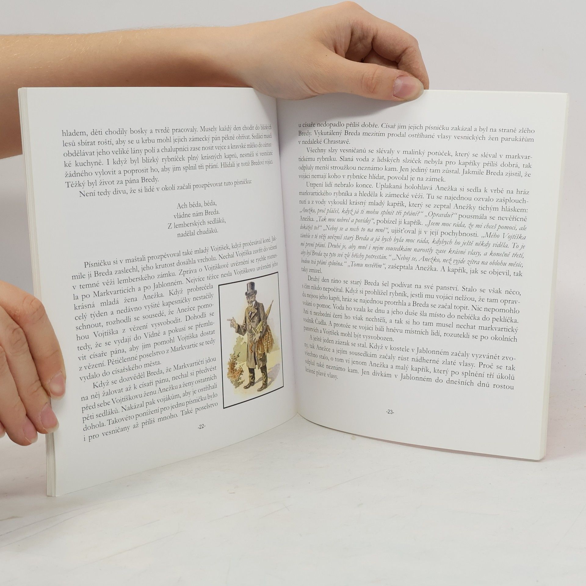 Autorenkollektiv Pověsti a pohádky z panství Lemberk a Jablonné