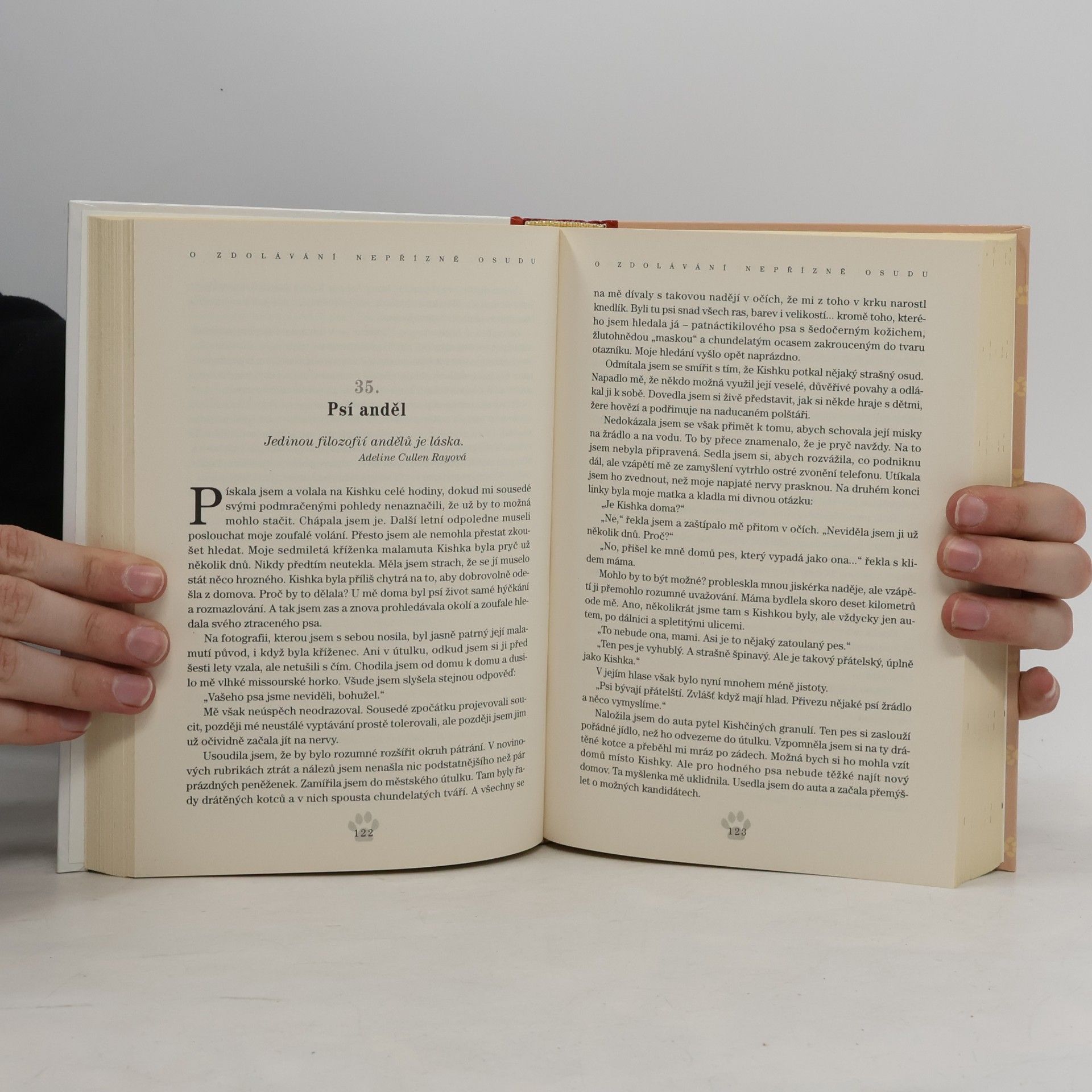 Jack Canfield Slepičí polévka pro duši. Co mě naučil pes