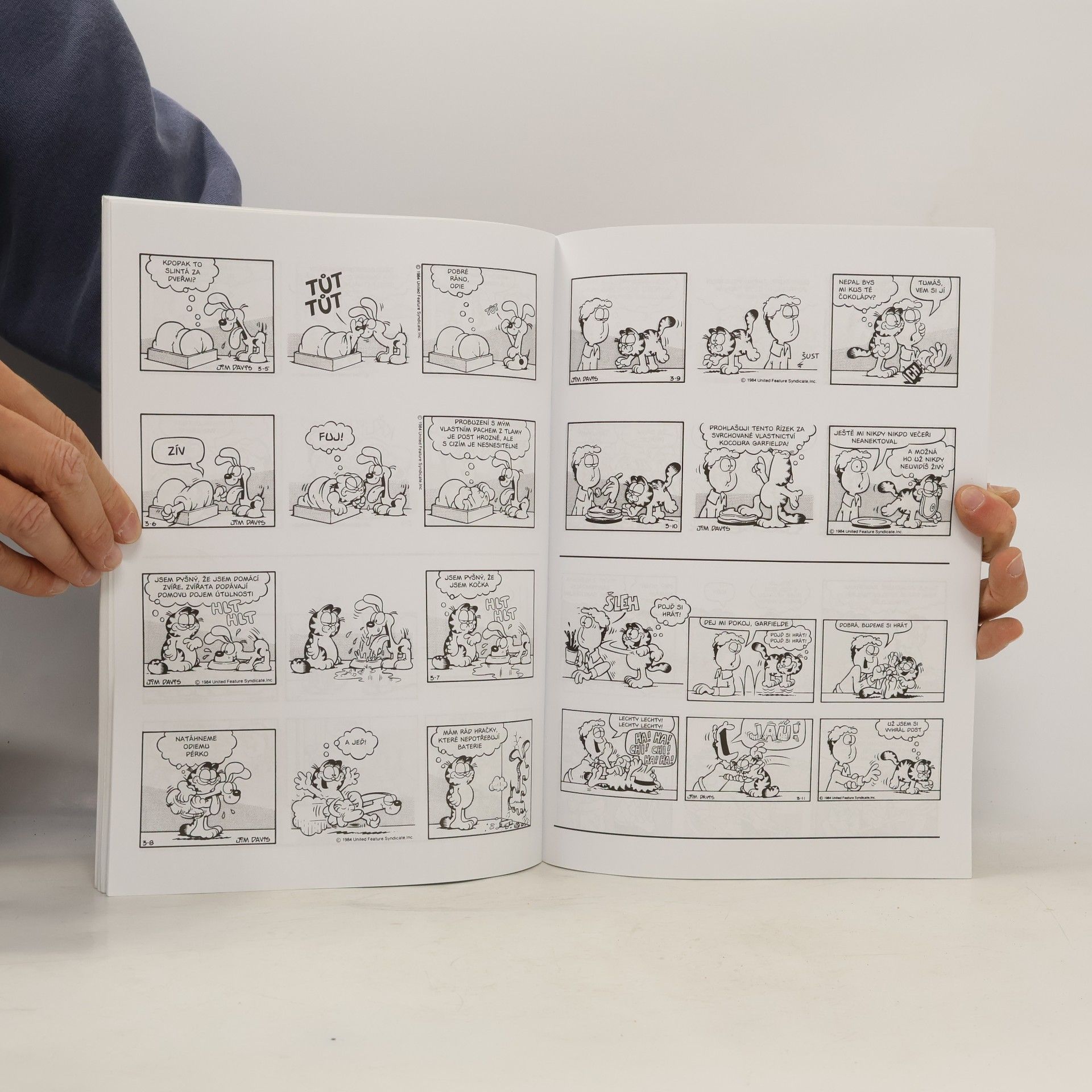 Jim Davis Garfield není troškař