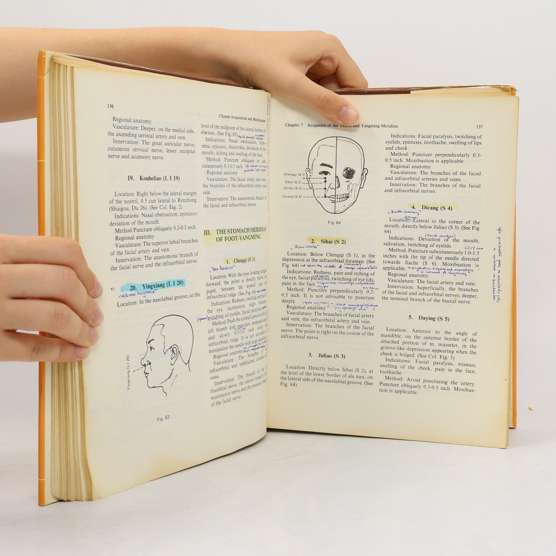 Cheng Xinnong Chinese Acupuncture and Moxibustion