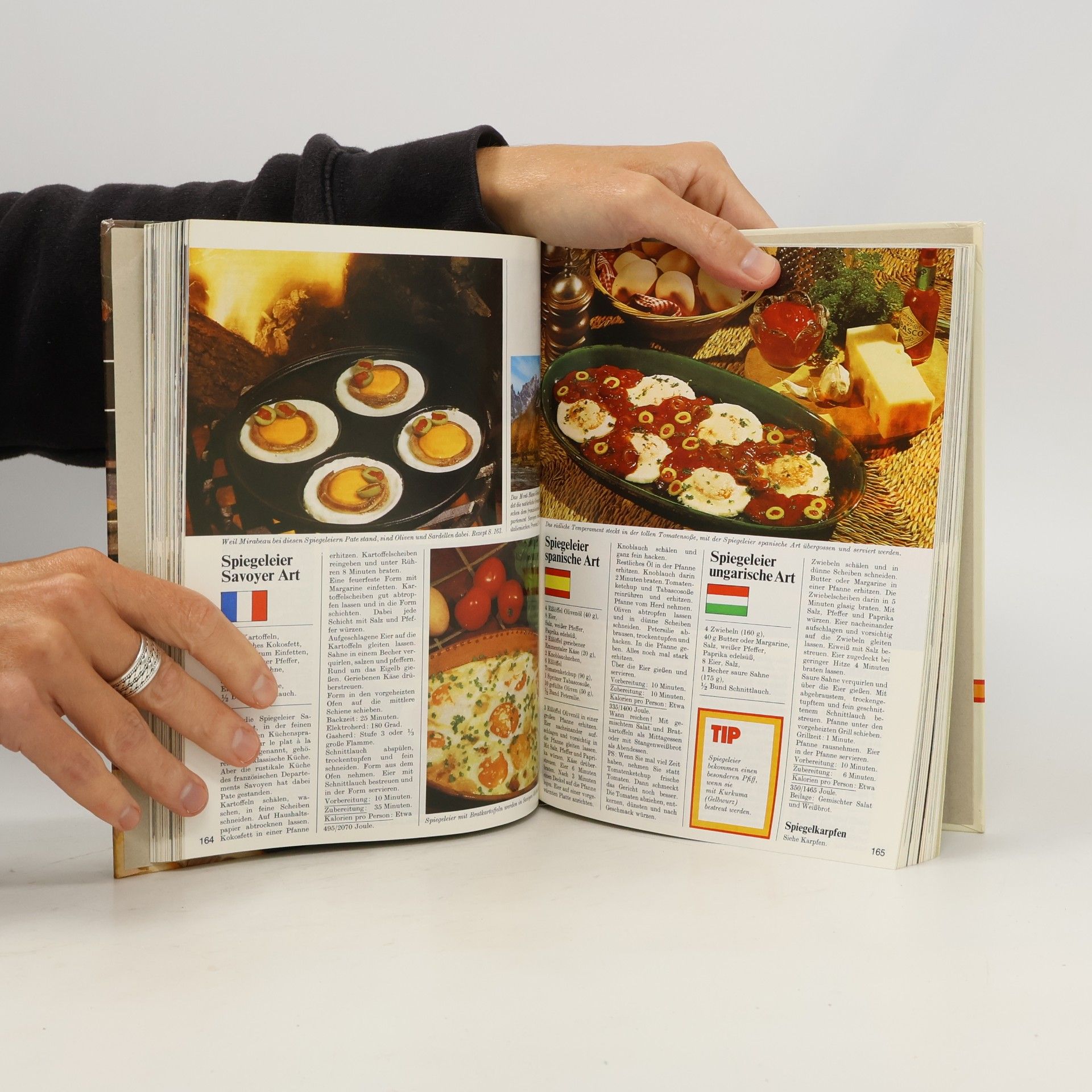 kolektiv Menu.