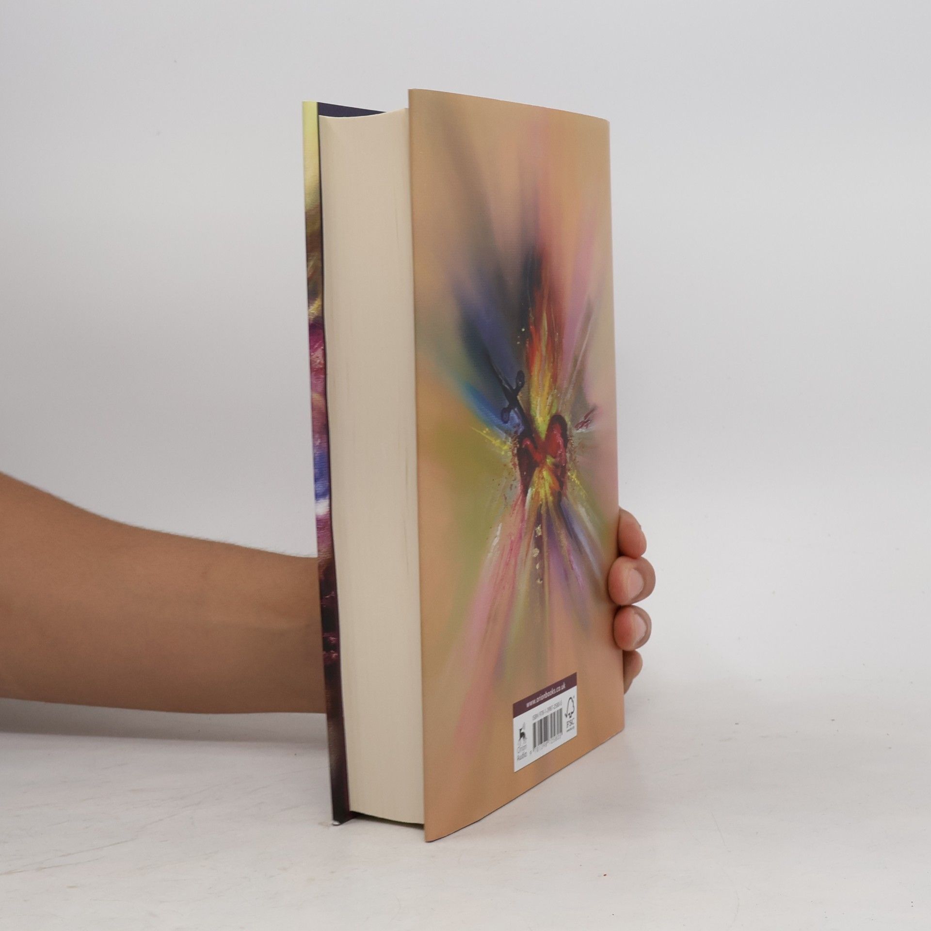 Jessa Hastings The Conditions of Will