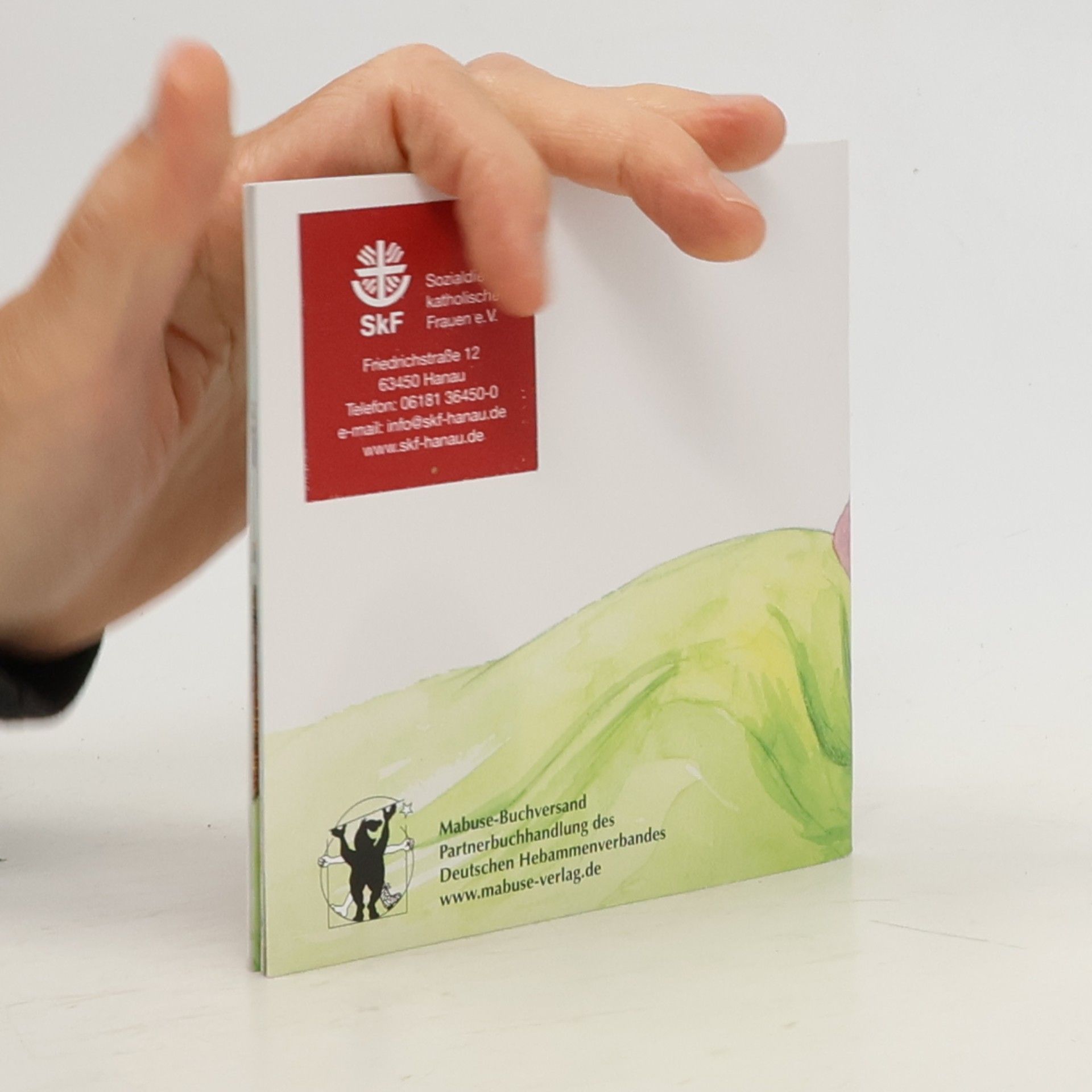 Beate Wollmann Süße Milch für Jules Bruder. Das Stillbüchlein