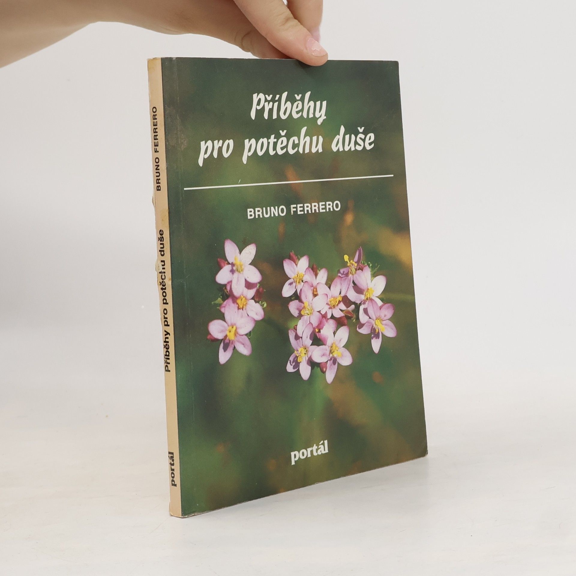 Bruno Ferrero Příběhy pro potěchu duše