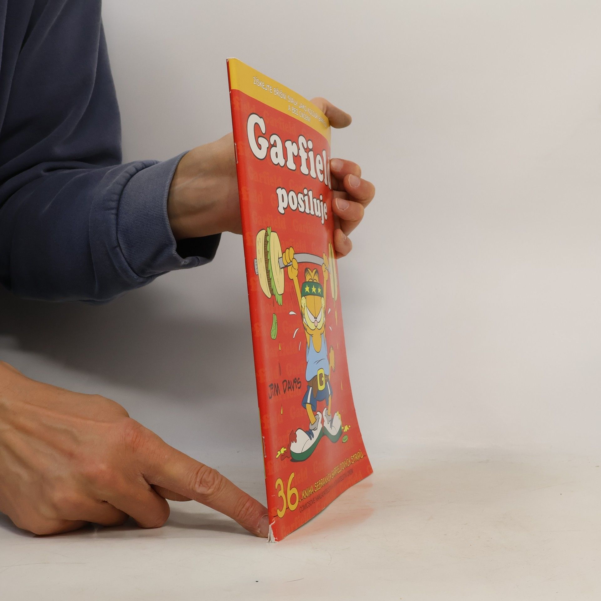 Jim Davis Garfield posiluje