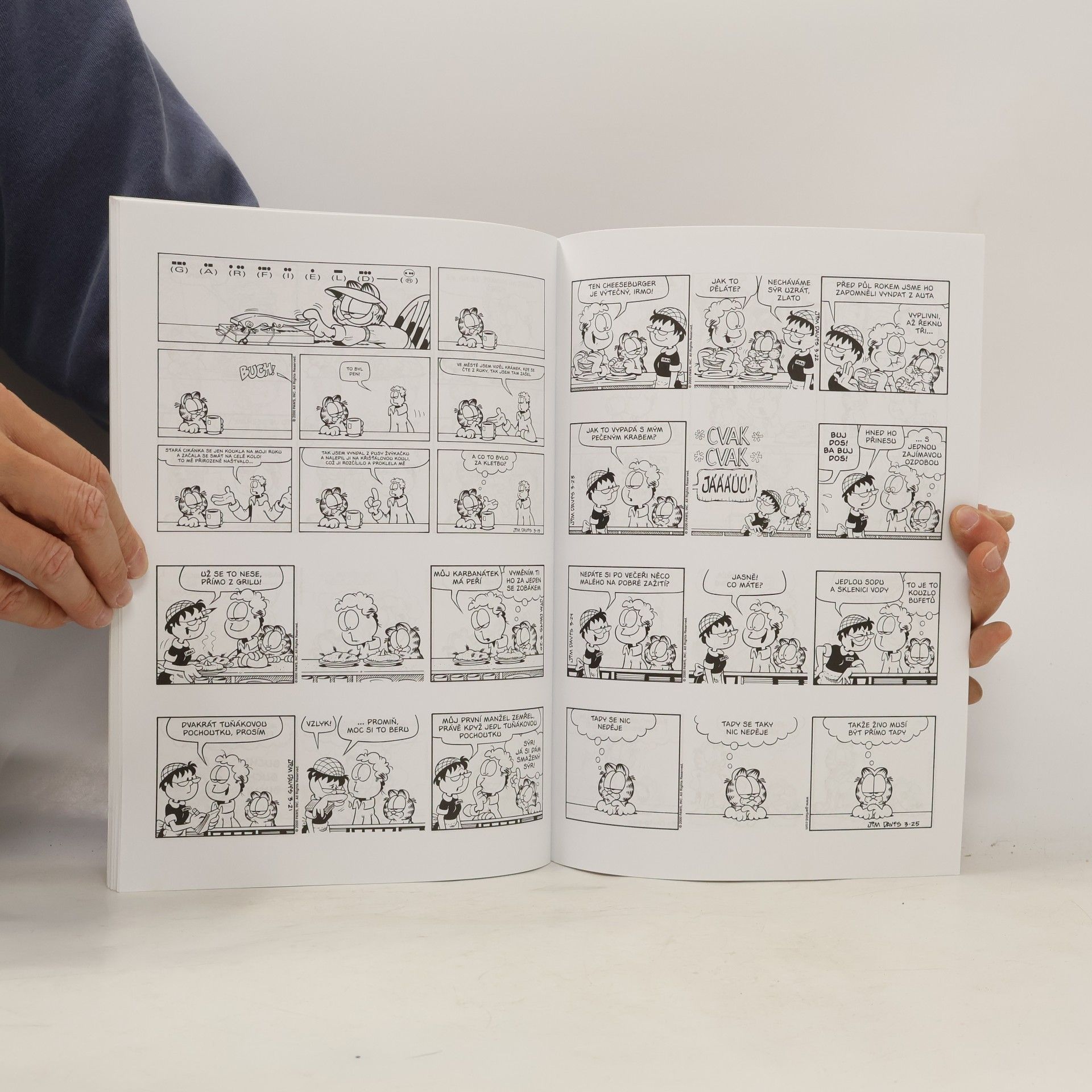 Jim Davis Garfield posiluje