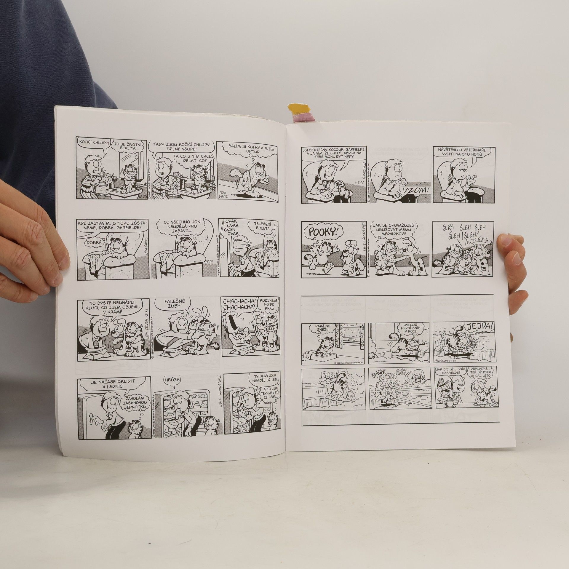 Jim Davis Garfield široko daleko
