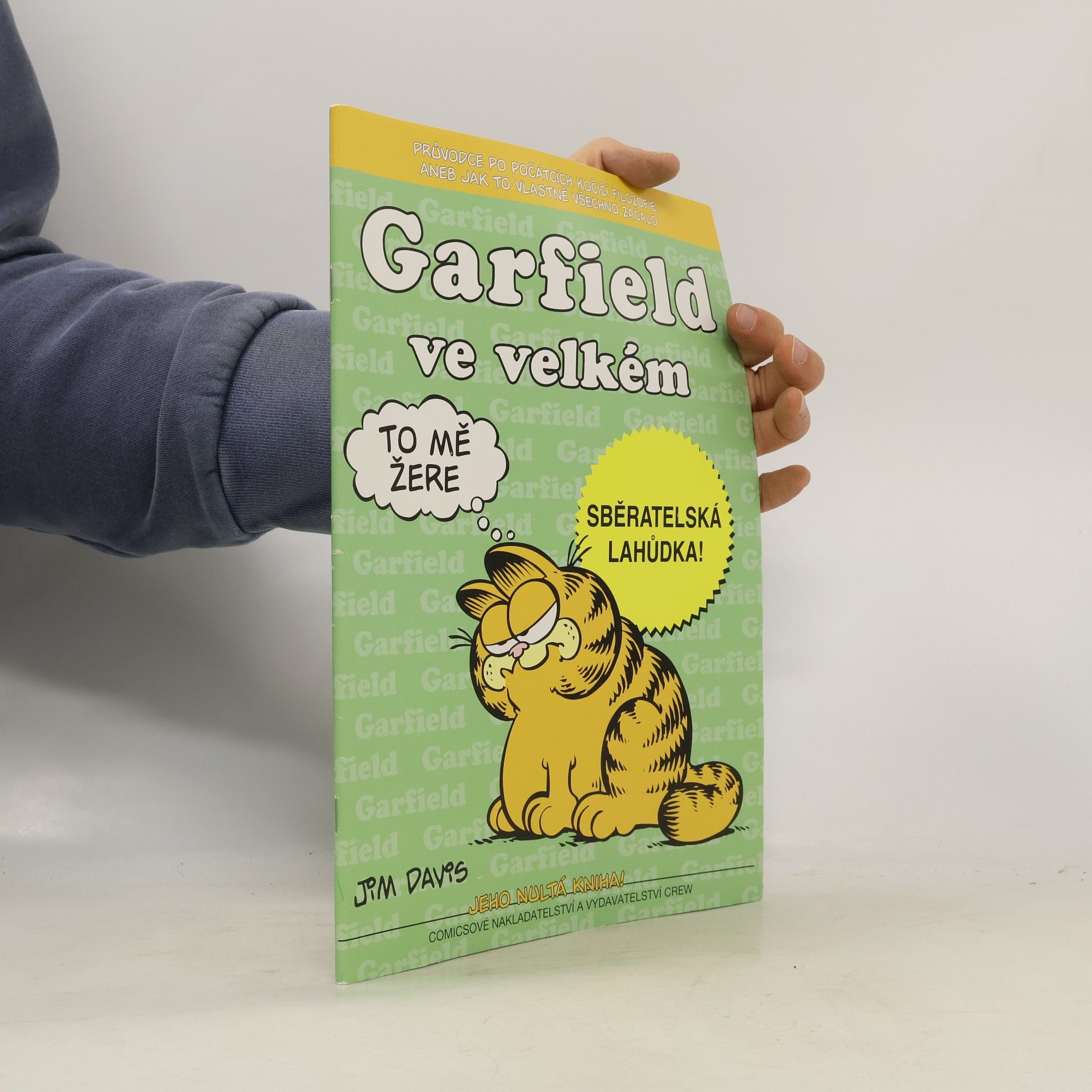 Jim Davis Garfield ve velkém
