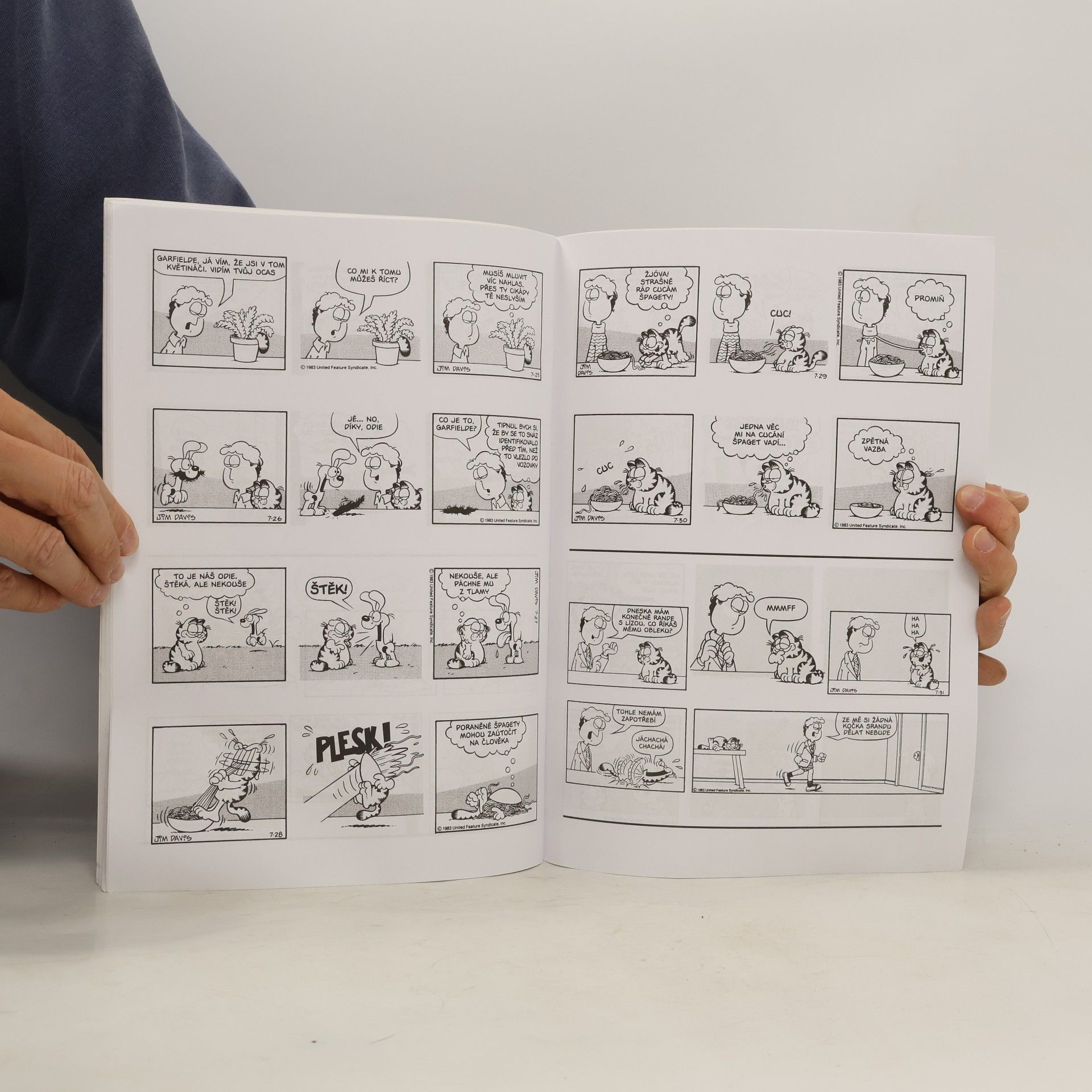 Jim Davis Garfield - nohy z dohledu