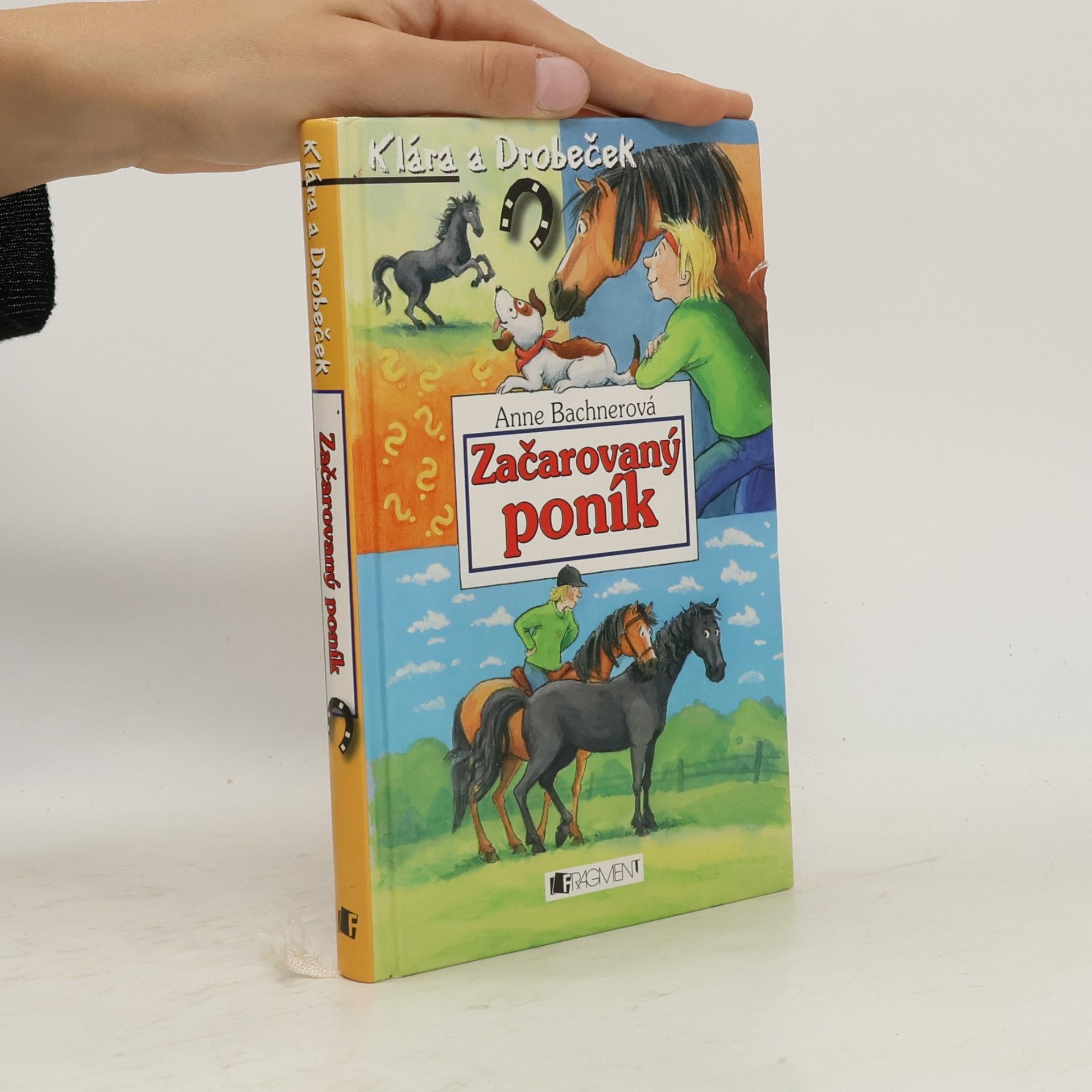 Heike Wiechmann Začarovaný poník