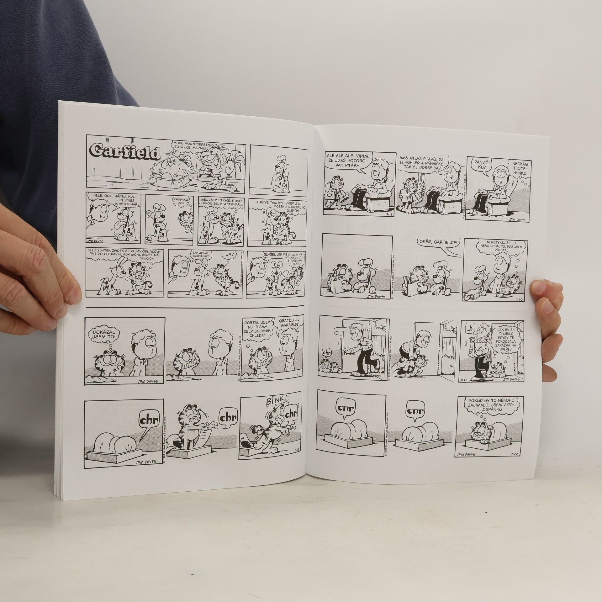 Jim Davis Garfield převažuje