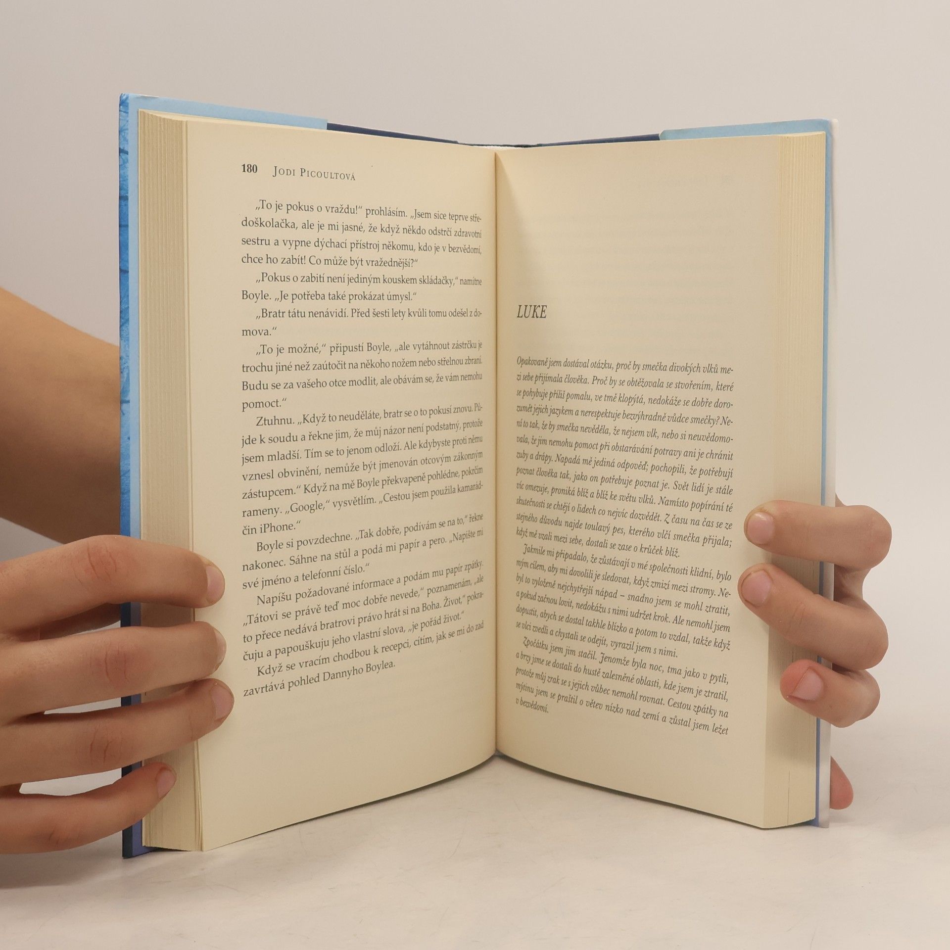 Jodi Picoult Vlk samotář
