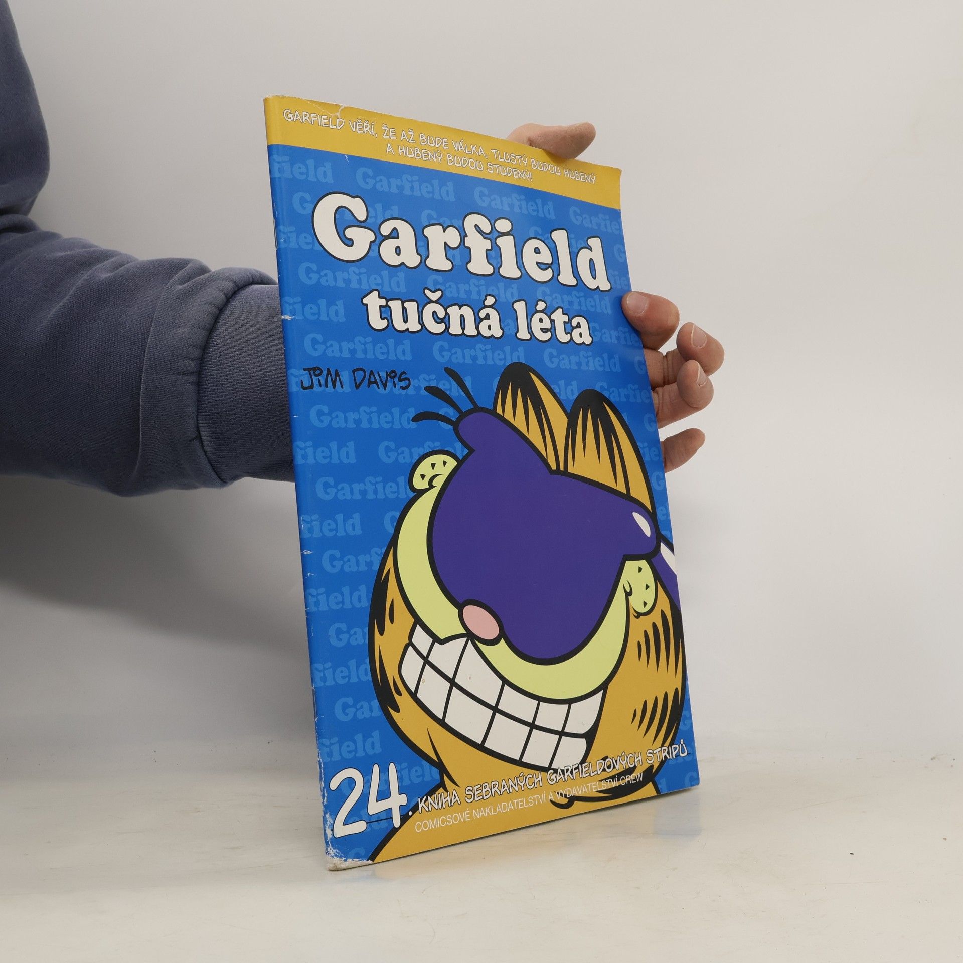 Jim Davis Garfield : tučná léta