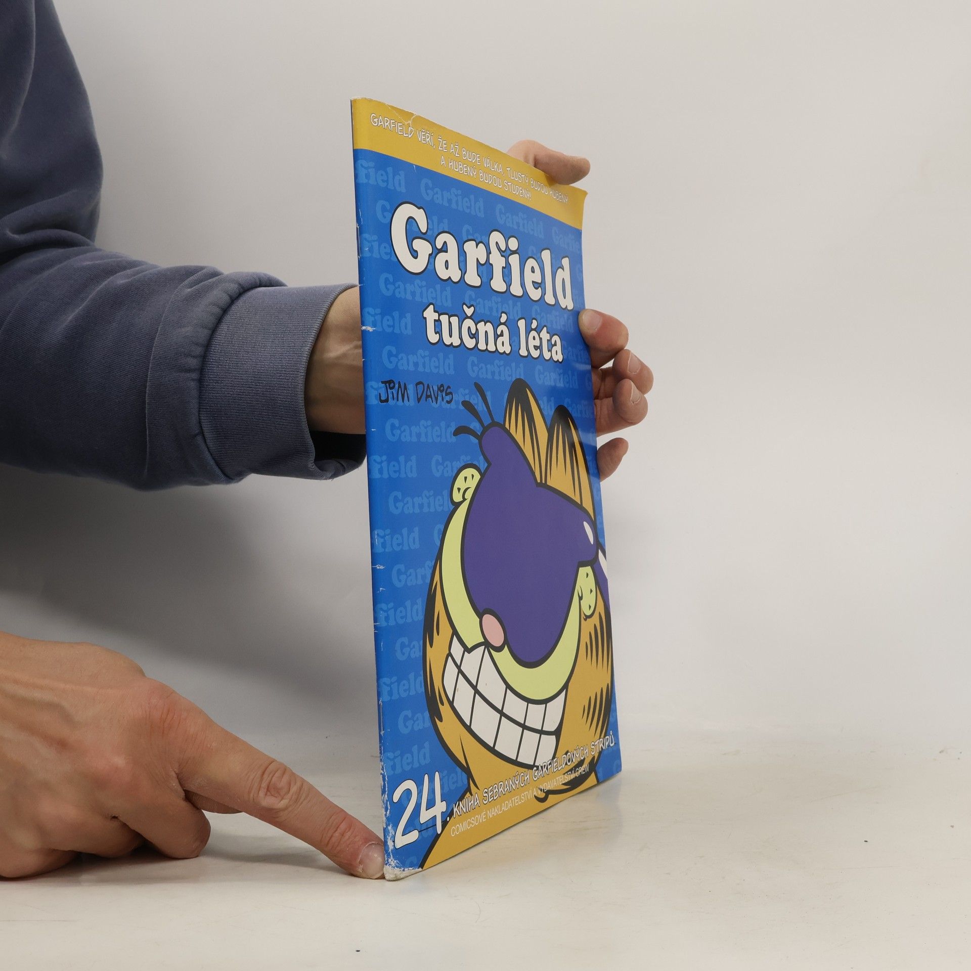 Jim Davis Garfield : tučná léta