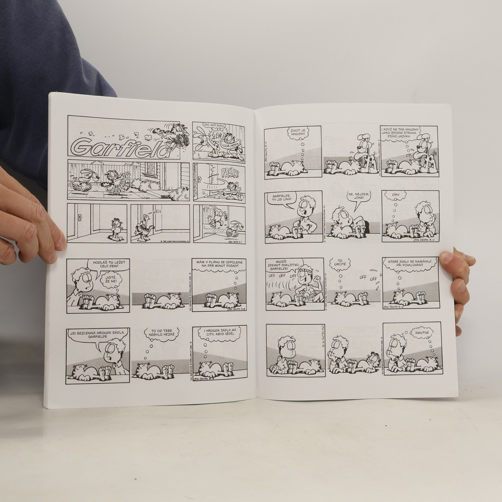 Jim Davis Garfield : tučná léta