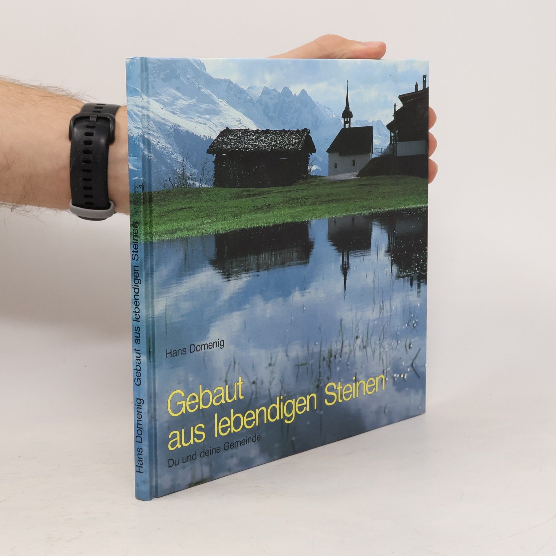 Hans Domenig Gebaut aus lebendigen Steinen