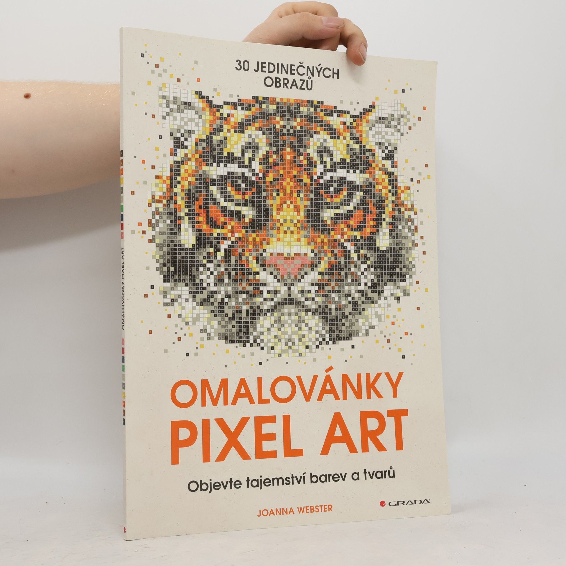 Joanna Webster Omalovánky Pixel Art