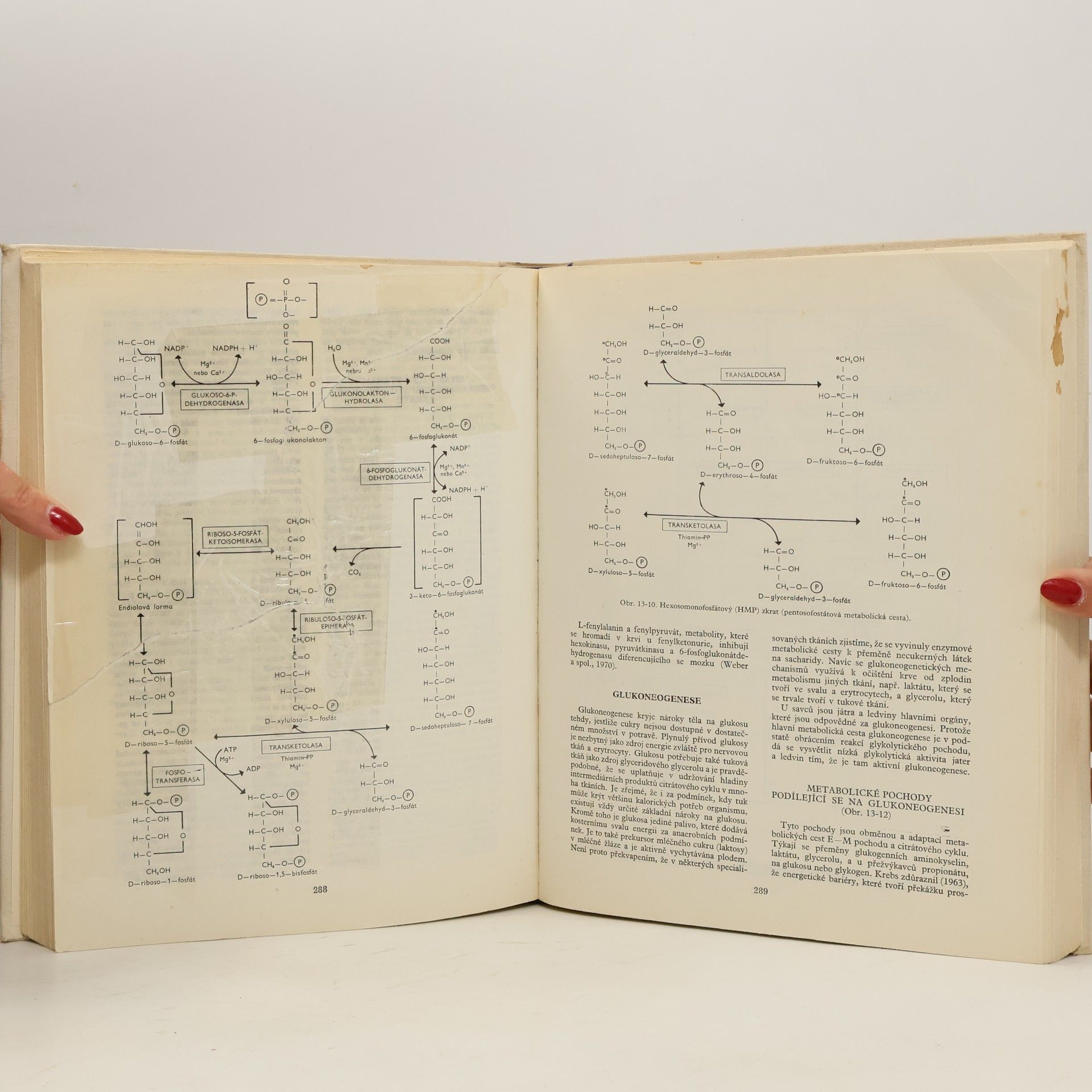 H.A Harper Přehled fysiologické chemie
