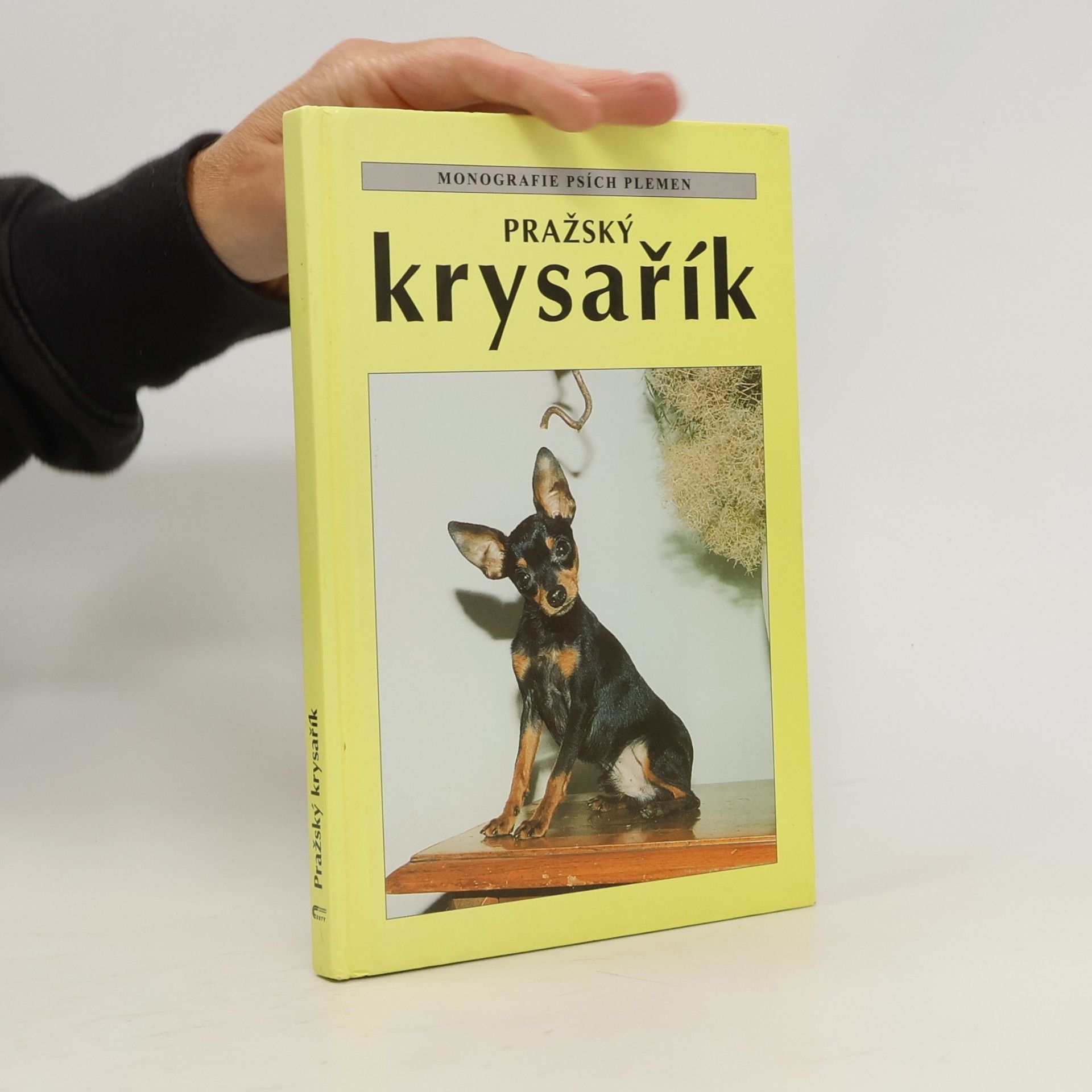 Pražský krysařík