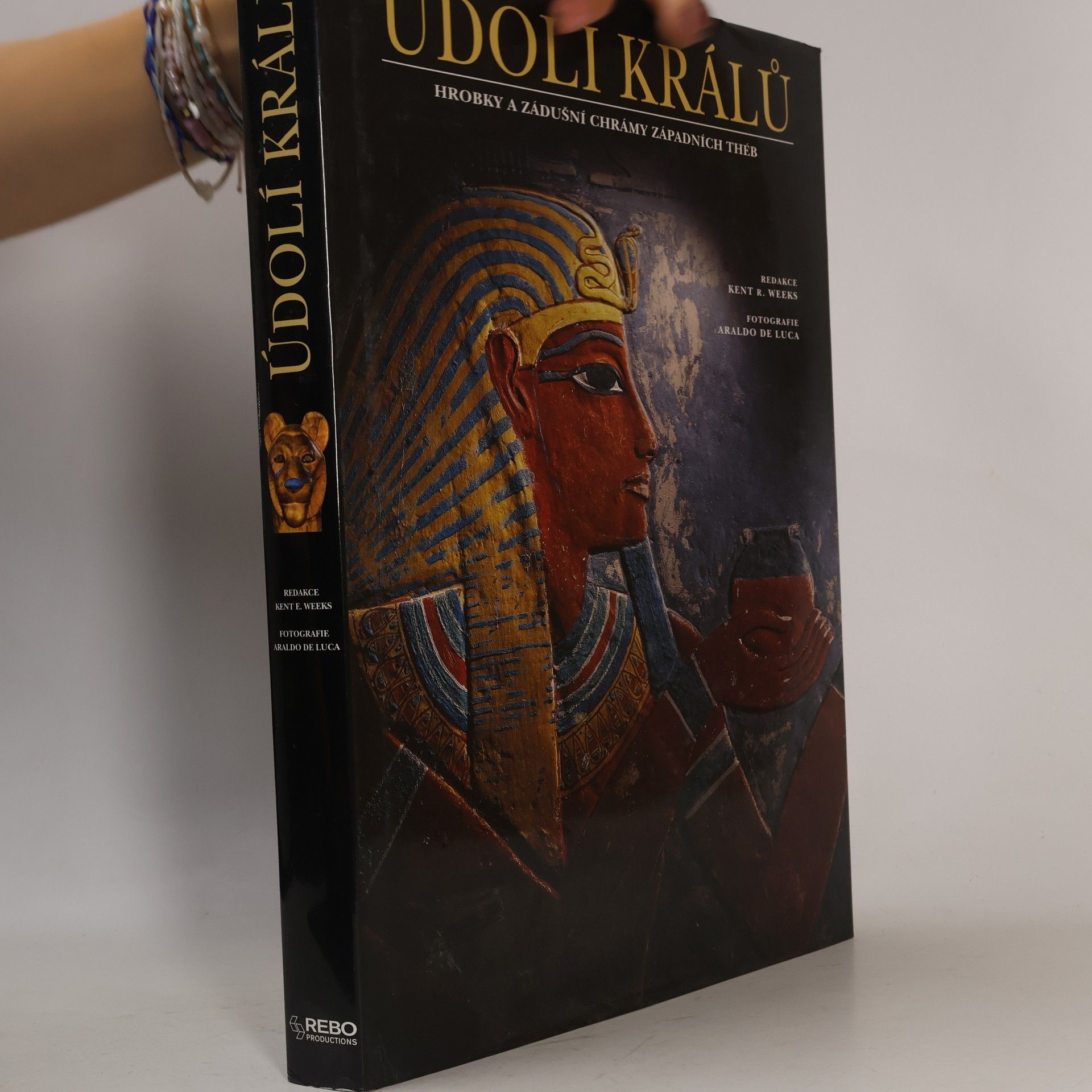 Kent R. Weeks Údolí králů : hrobky a zádušní chrámy západních Théb
