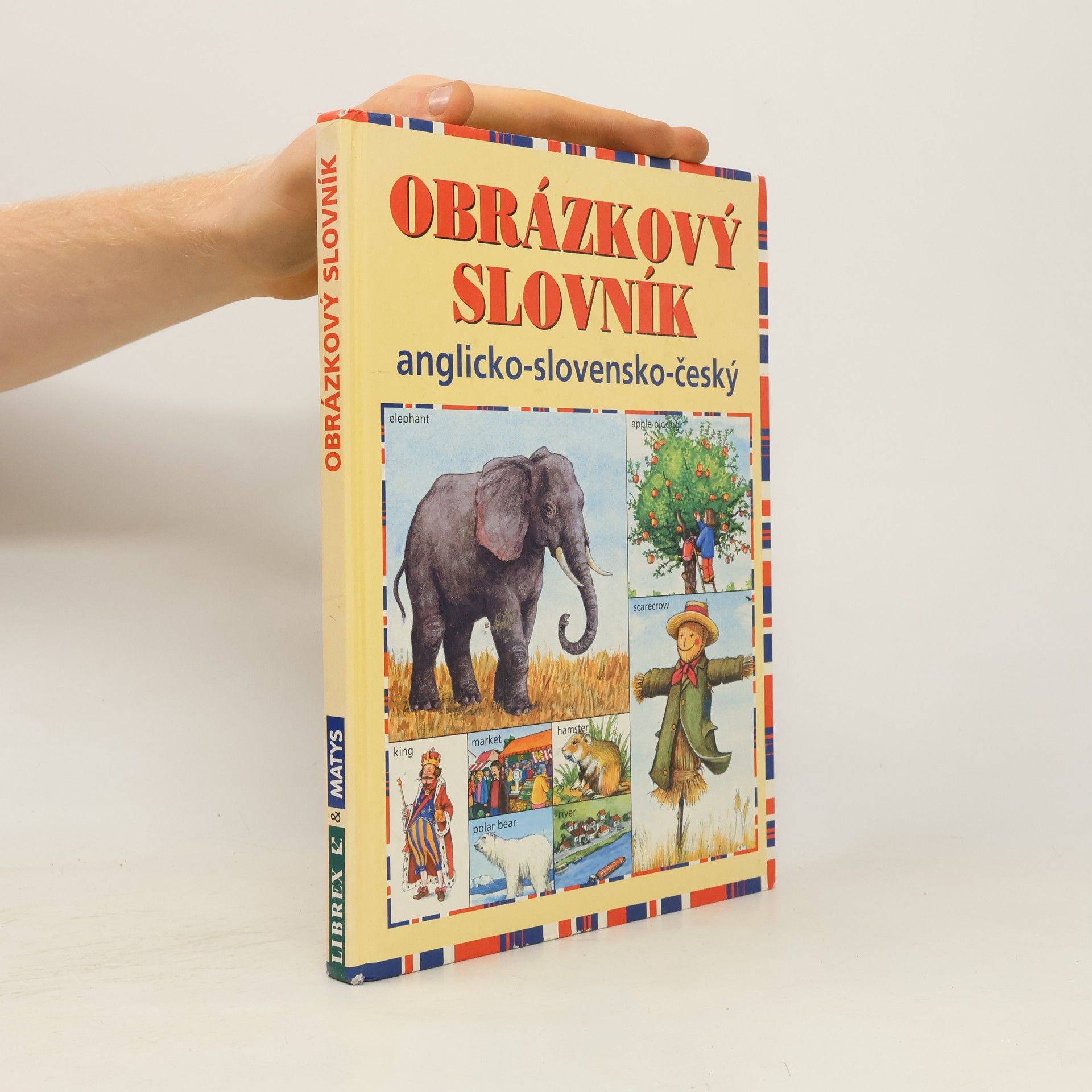 kolektiv Obrázkový slovník anglicko-slovensko-český