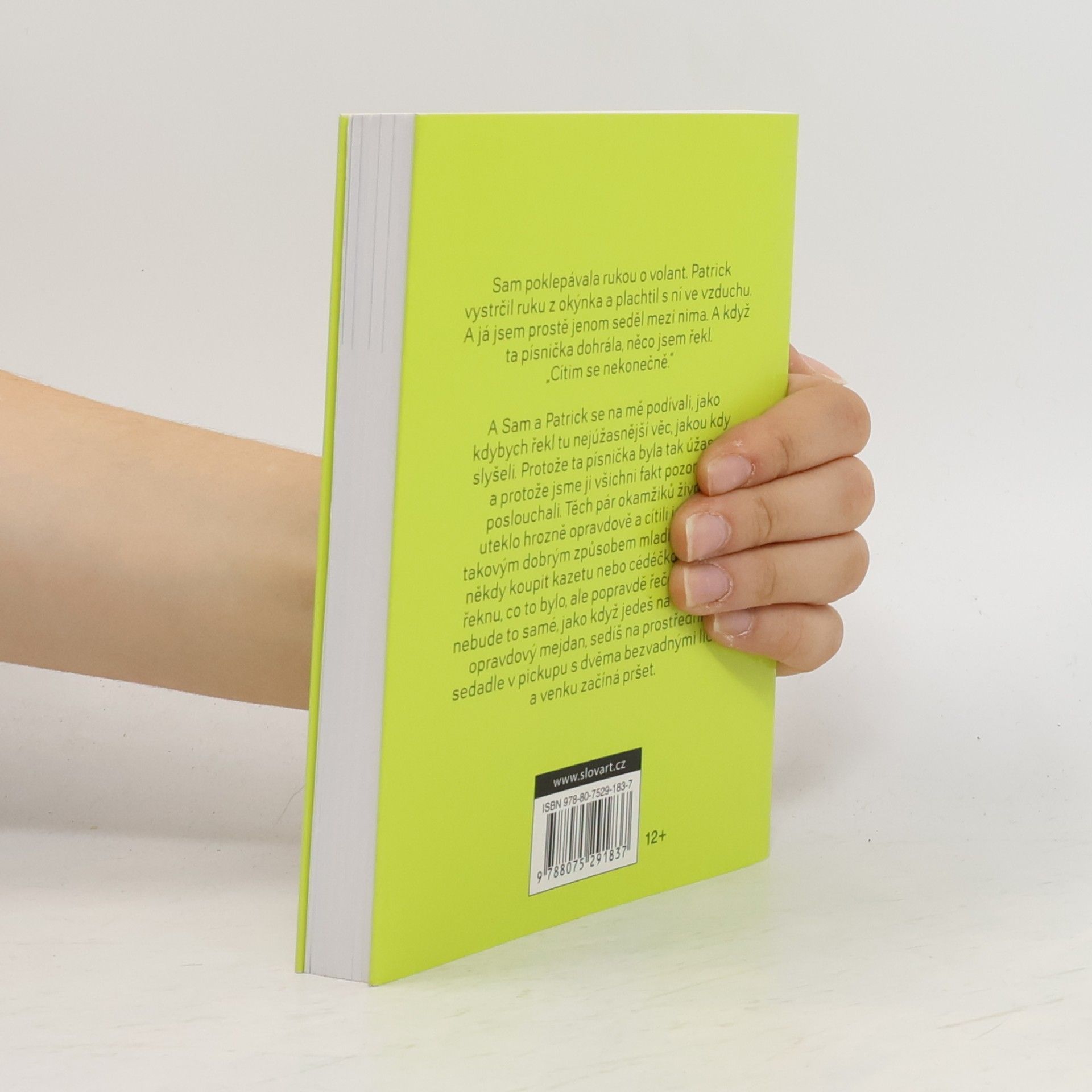 Stephen Chbosky Ten, kdo stojí v koutě