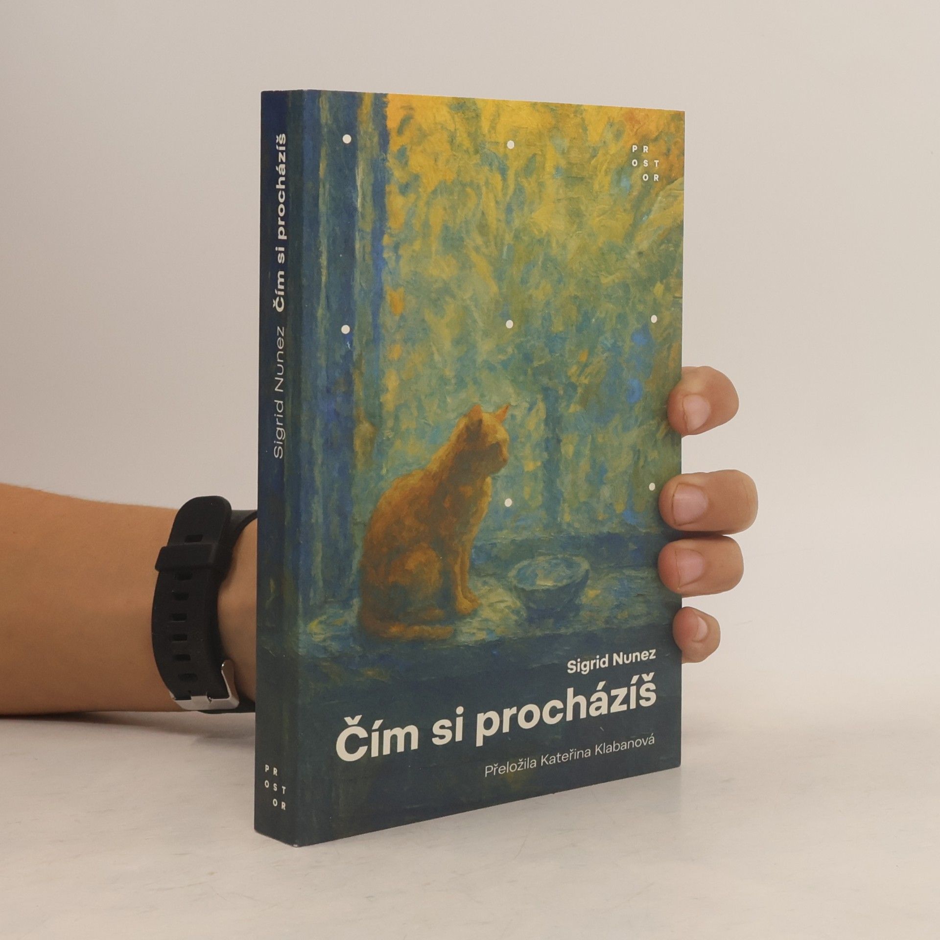 Čím si procházíš