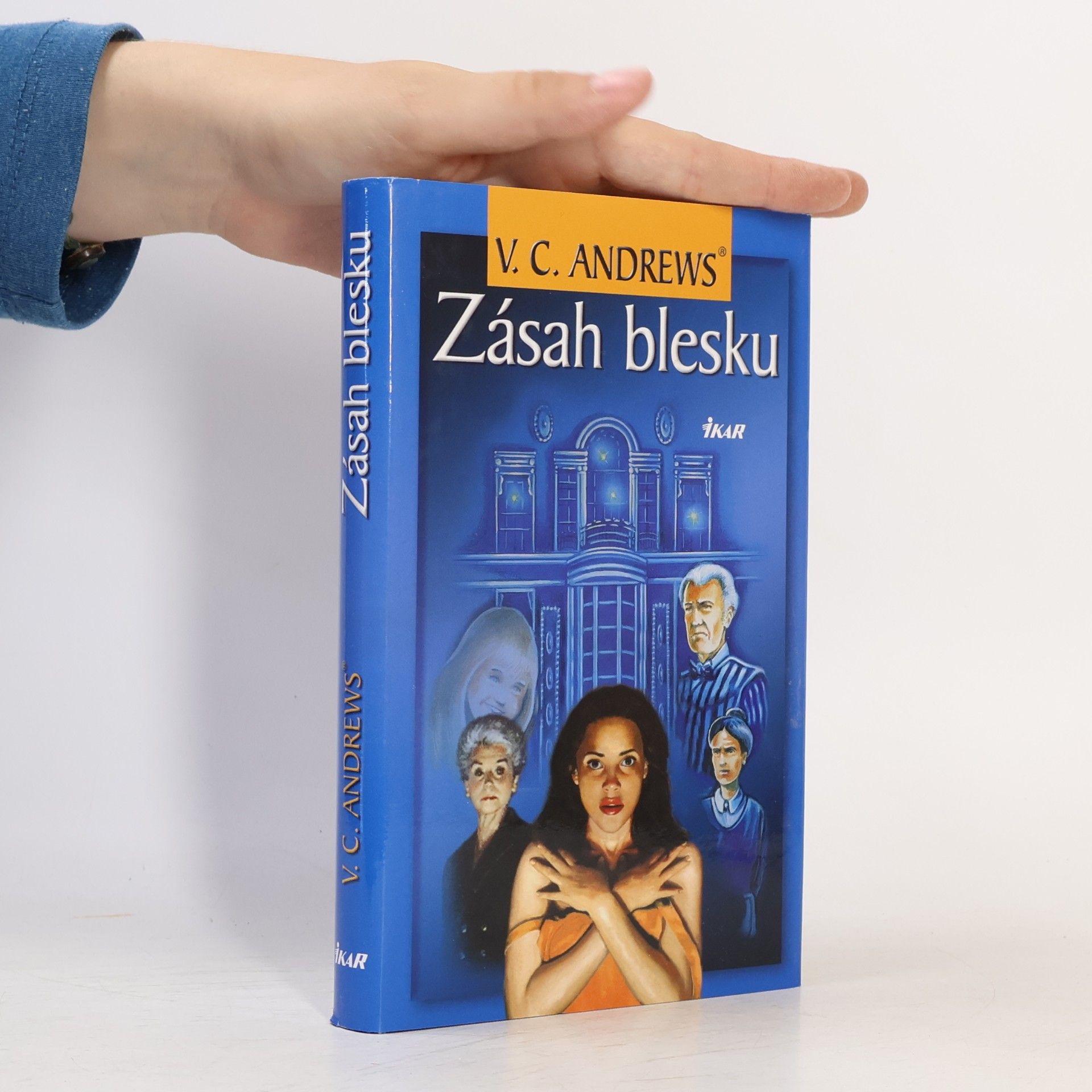 V. C. Andrews Zásah blesku