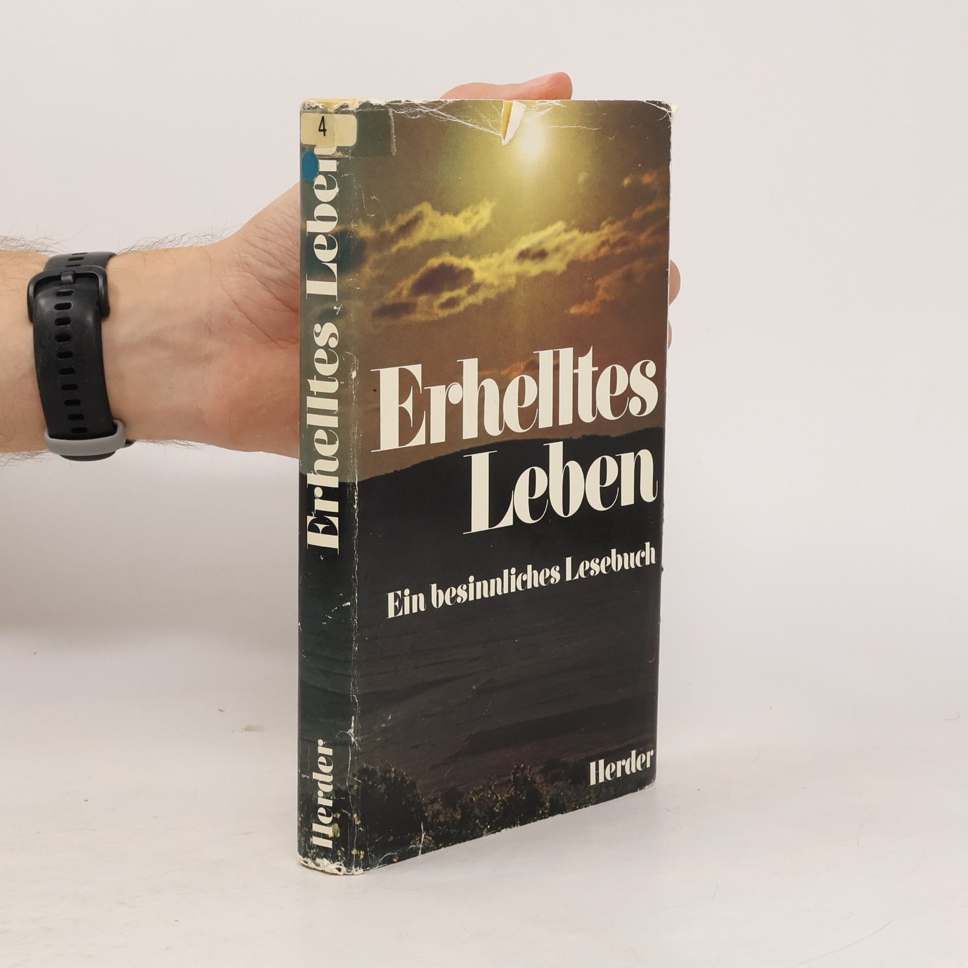Erhelltes Leben 4